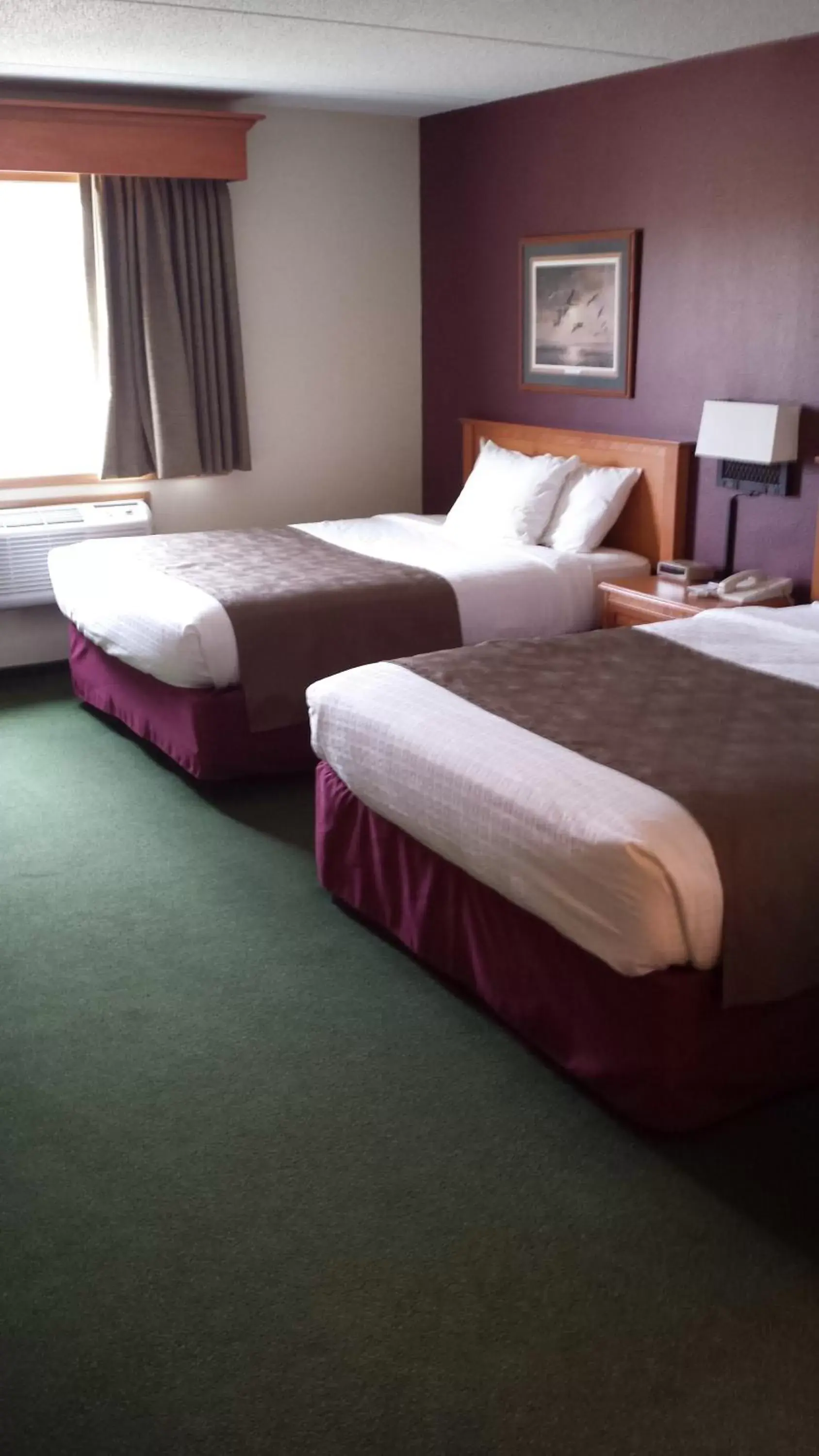 Bed in AmericInn by Wyndham Madison SD