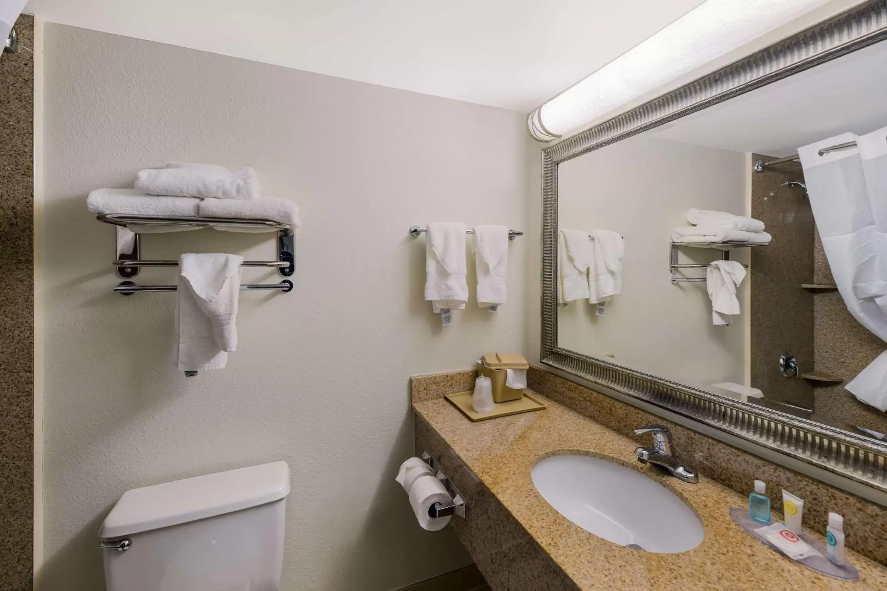 Bedroom, Bathroom in Clarion Hotel San Angelo near Convention Center