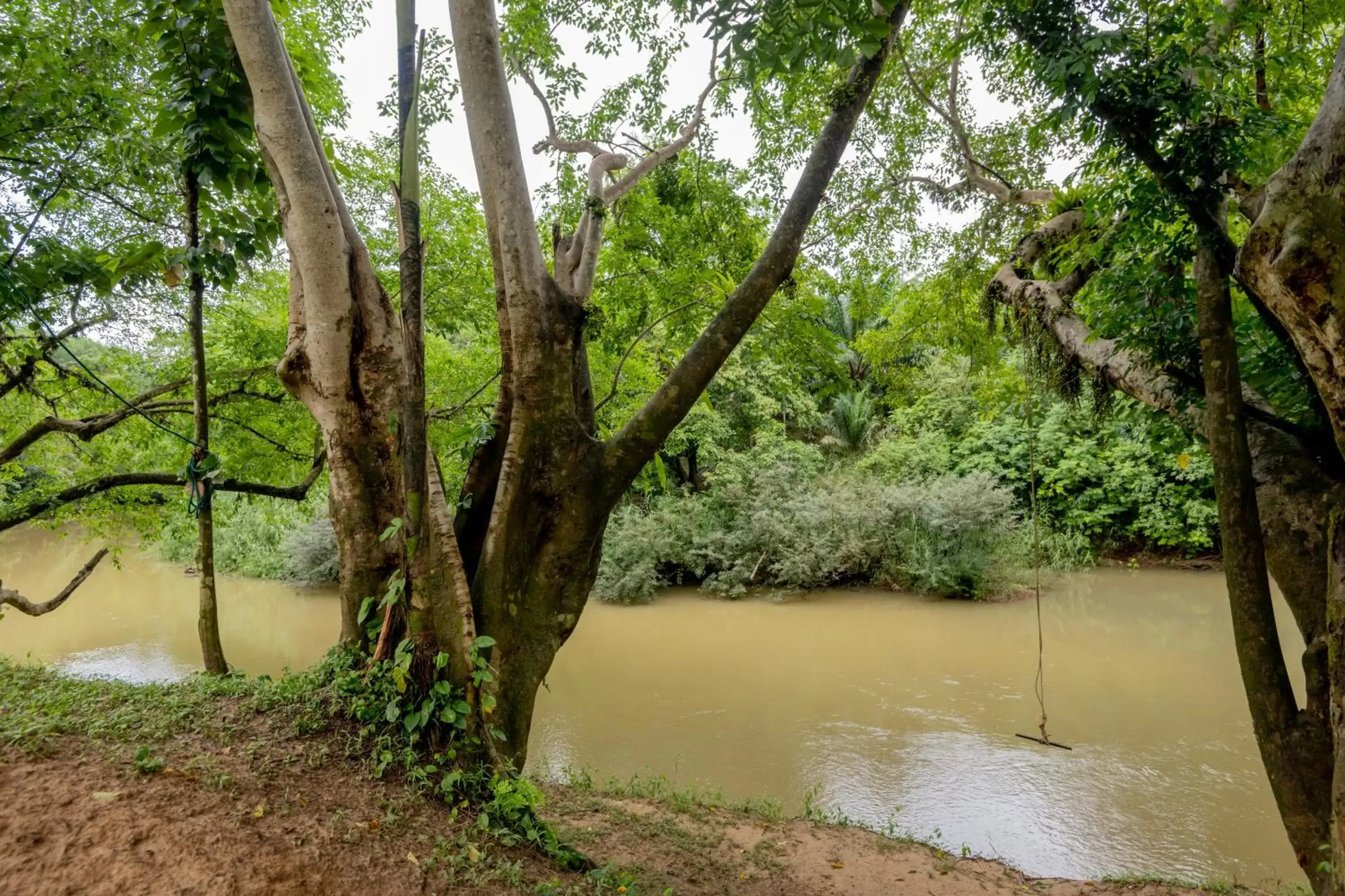 Natural landscape in Khao Sok River Home Resort