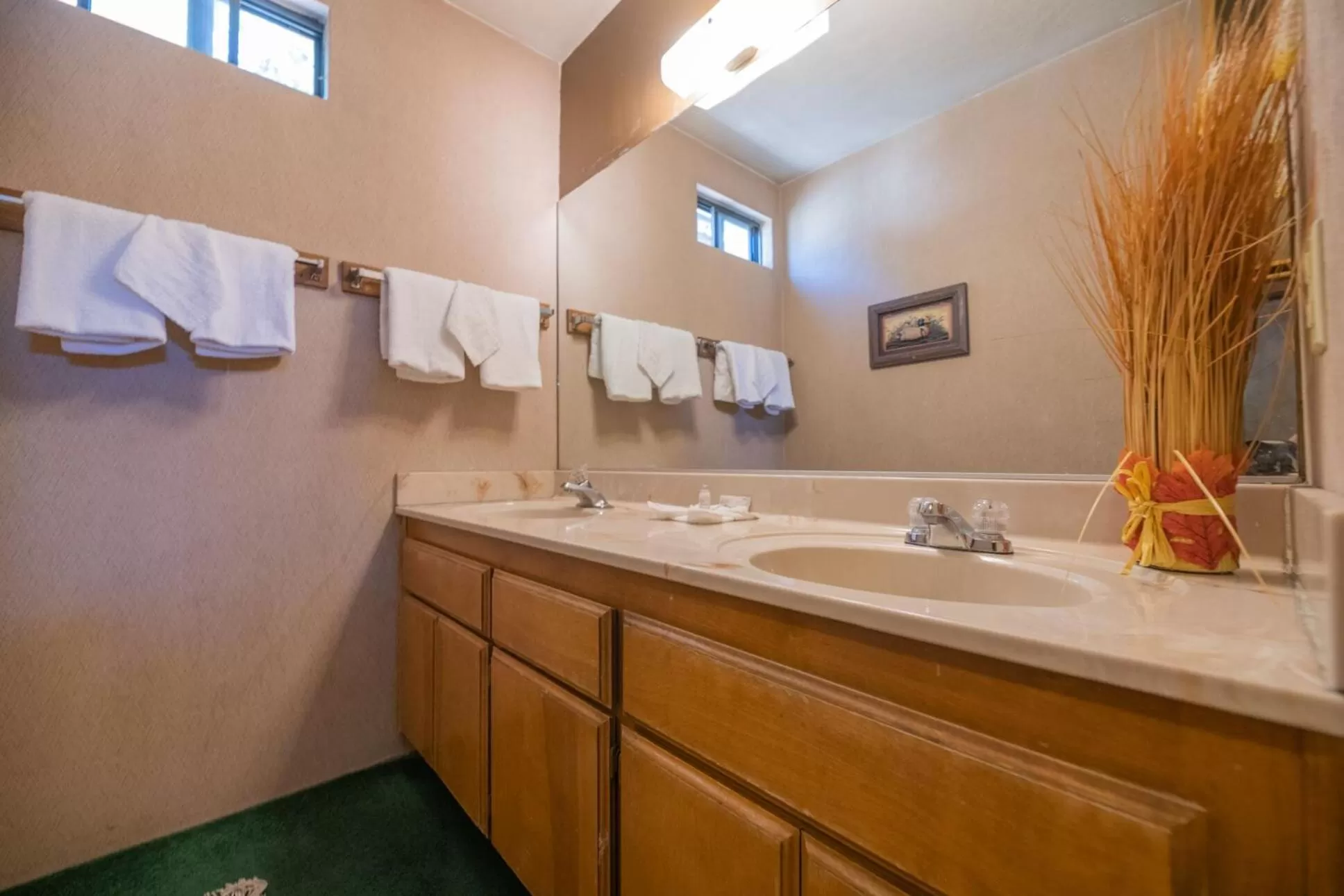 Bathroom in Black Forest Lodge