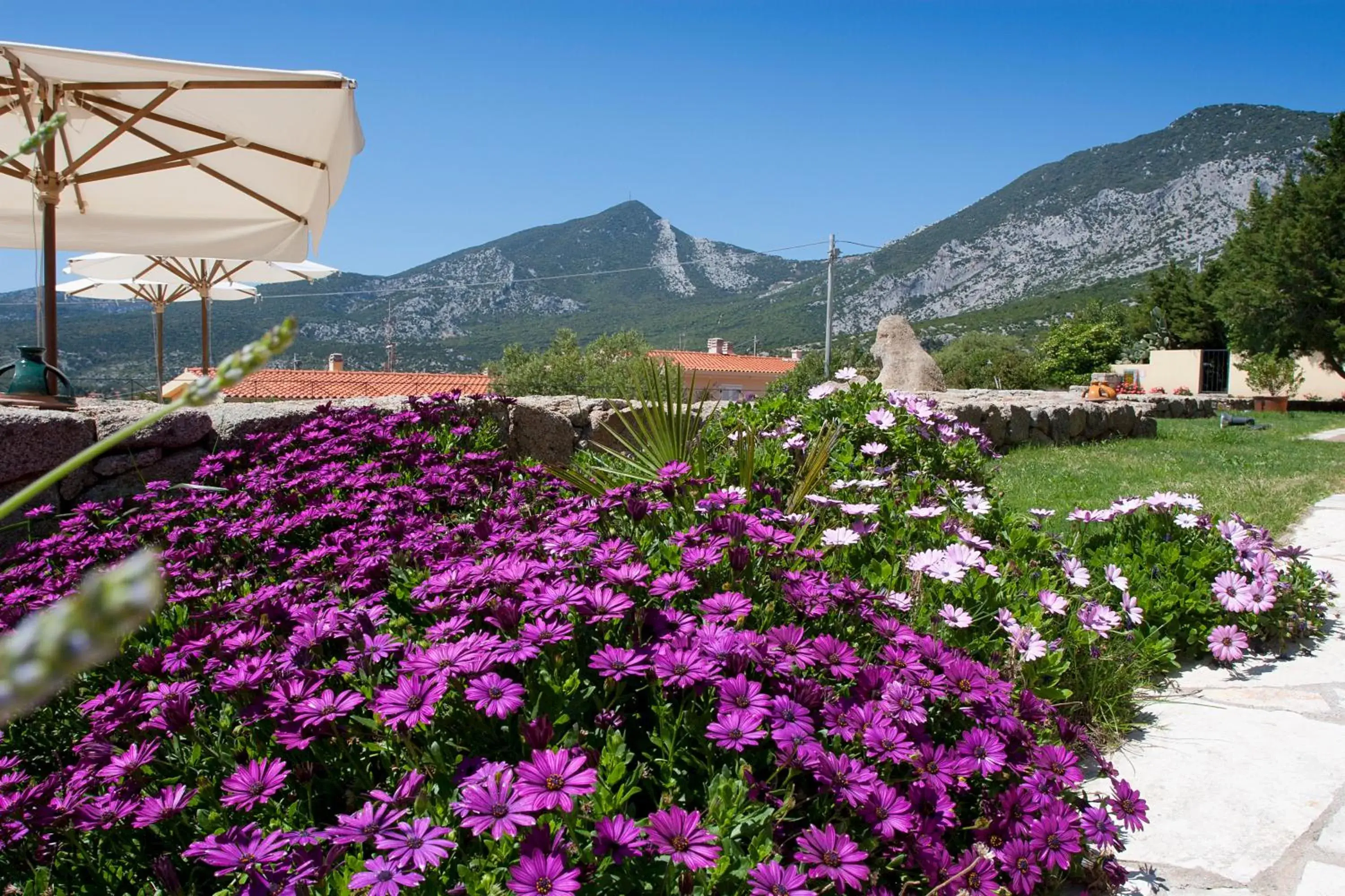 Garden, Mountain View in Hotel Villa Gustui Maris