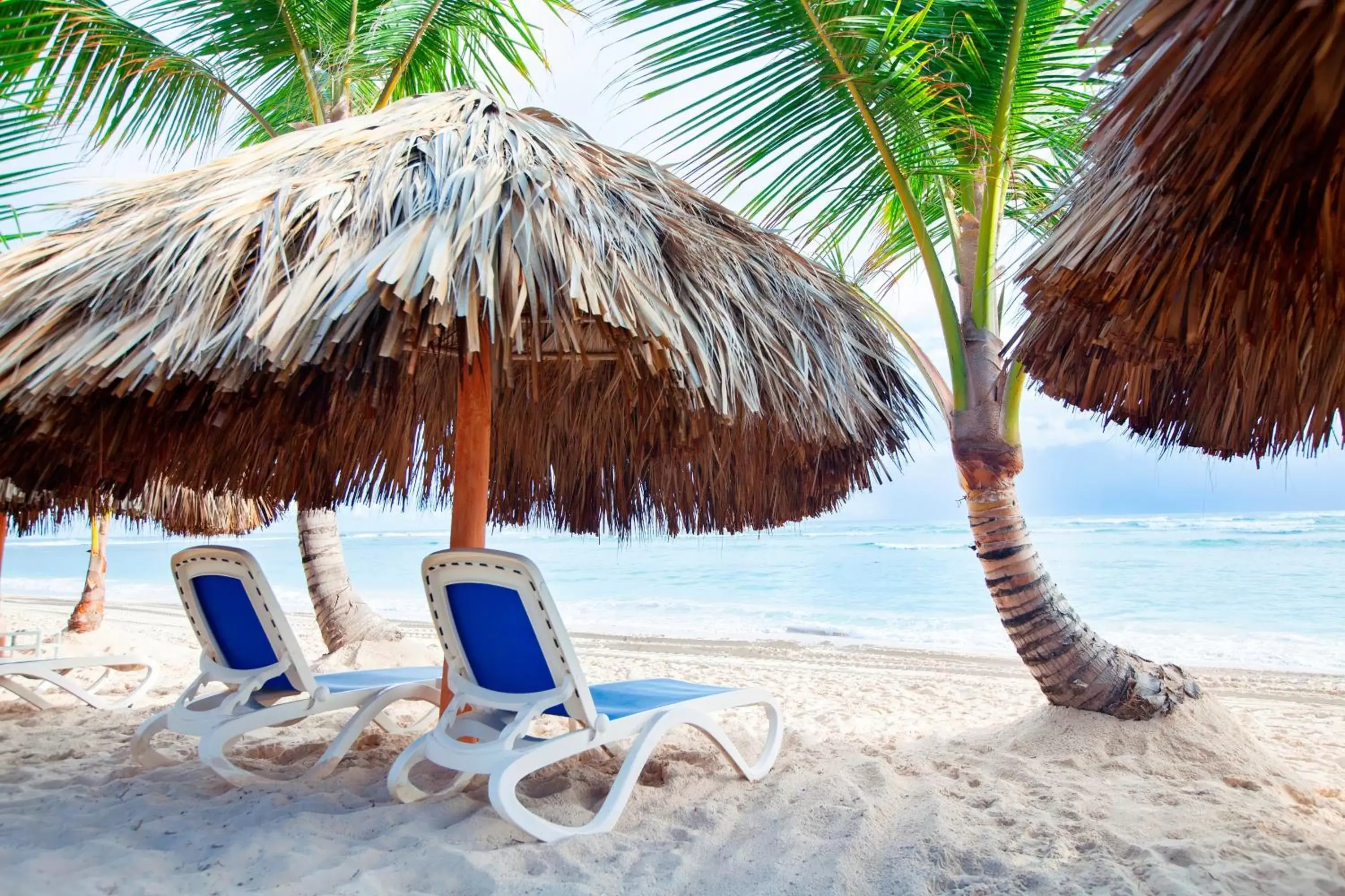 Beach in Majestic Elegance Punta Cana - All Inclusive