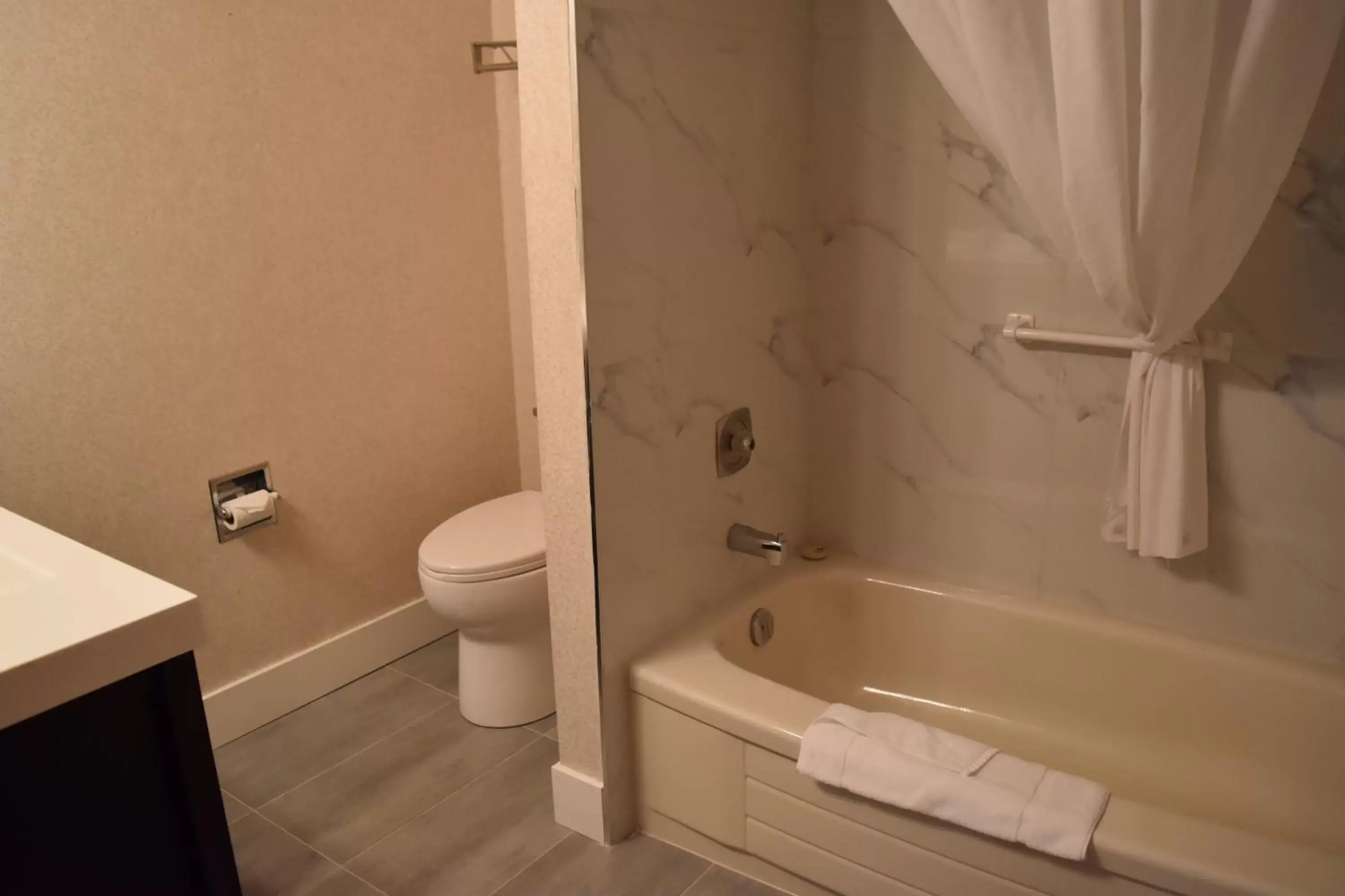 Bathroom in Canadas Best Value Inn & Suites-Castlegar