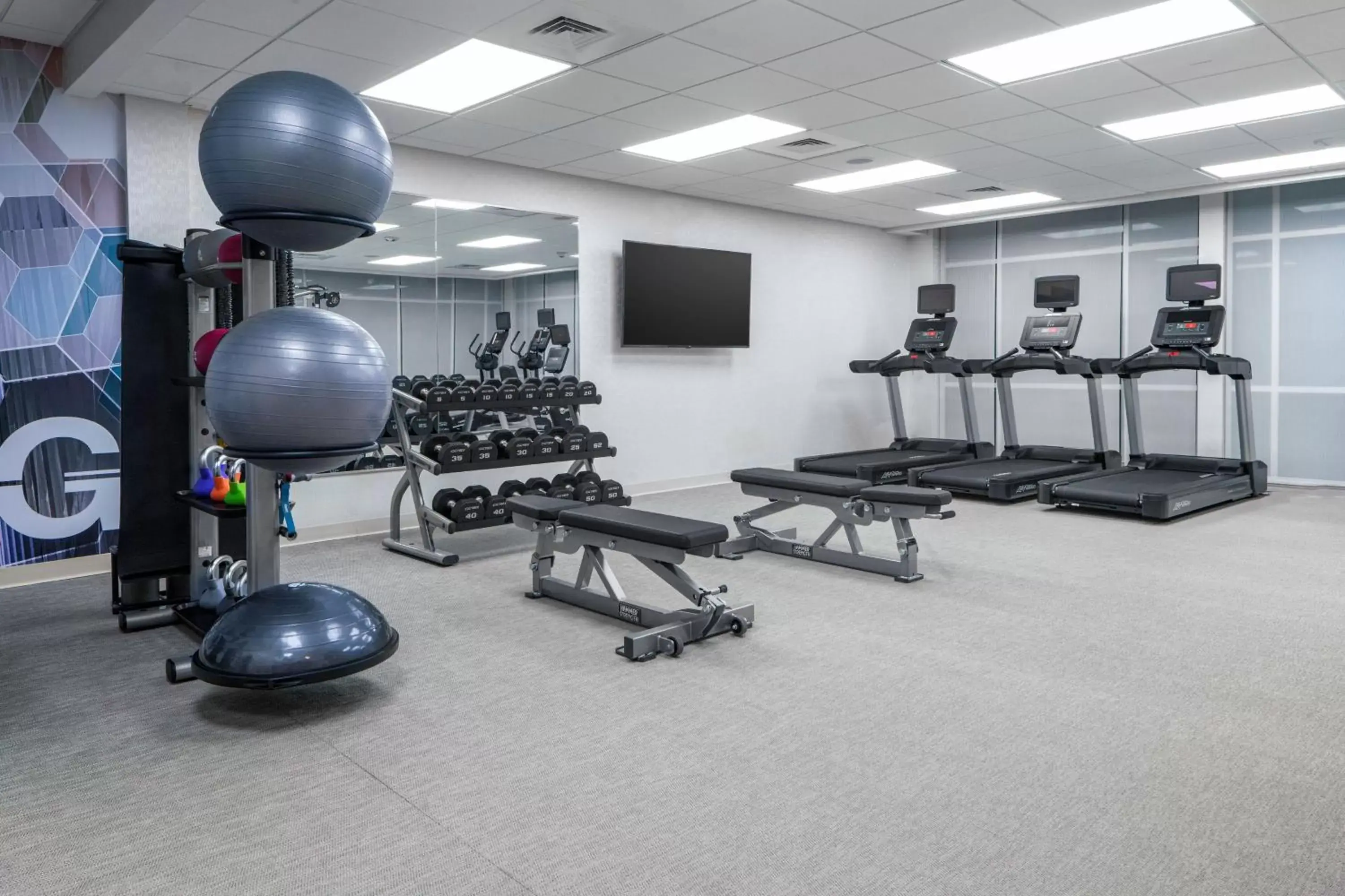 Fitness centre/facilities, Fitness Center/Facilities in SpringHill Suites by Marriott Raleigh Apex