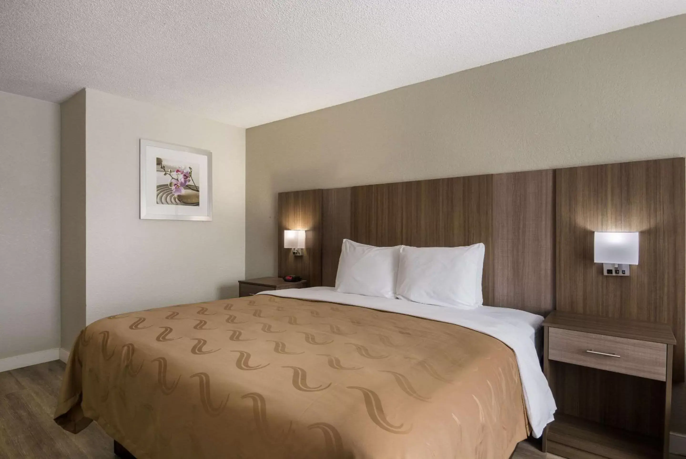 Bedroom, Bed in Quality Inn Emporia Bedroom, Bed in Quality Inn Emporia