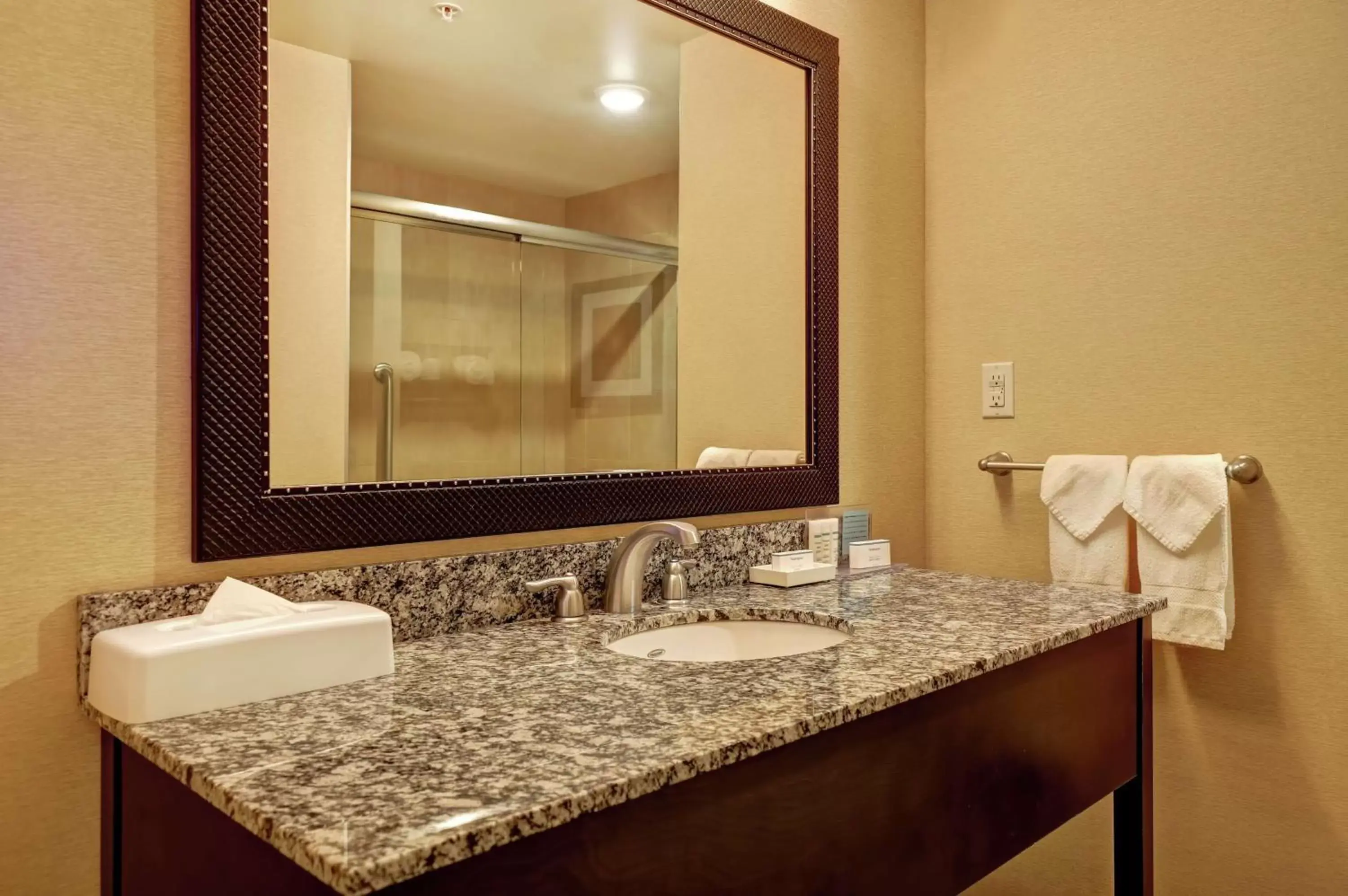 Bathroom in Hampton Inn by Hilton Chilliwack