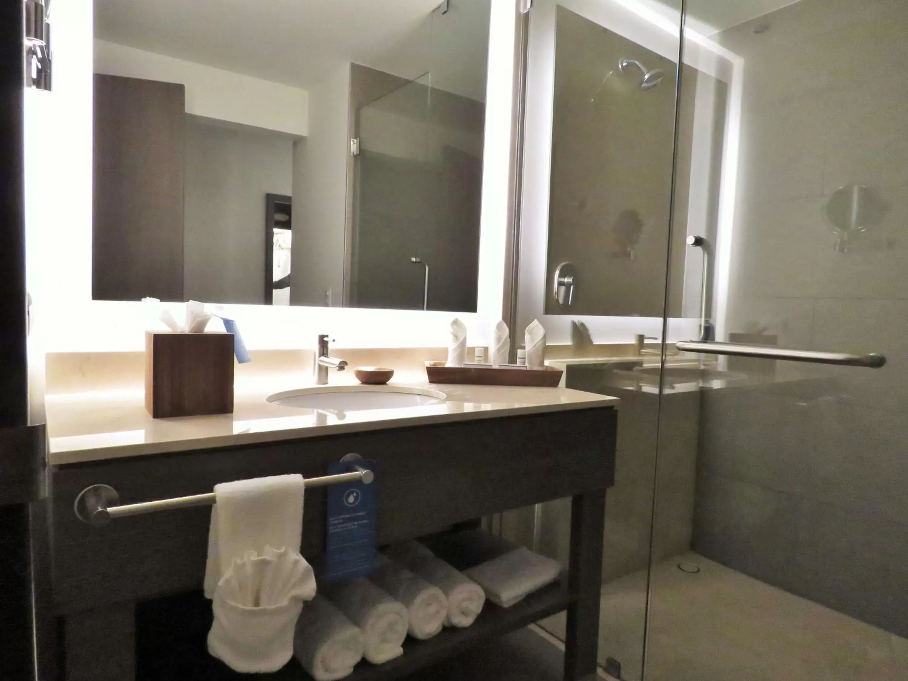 Bathroom in Hampton Inn By Hilton Celaya