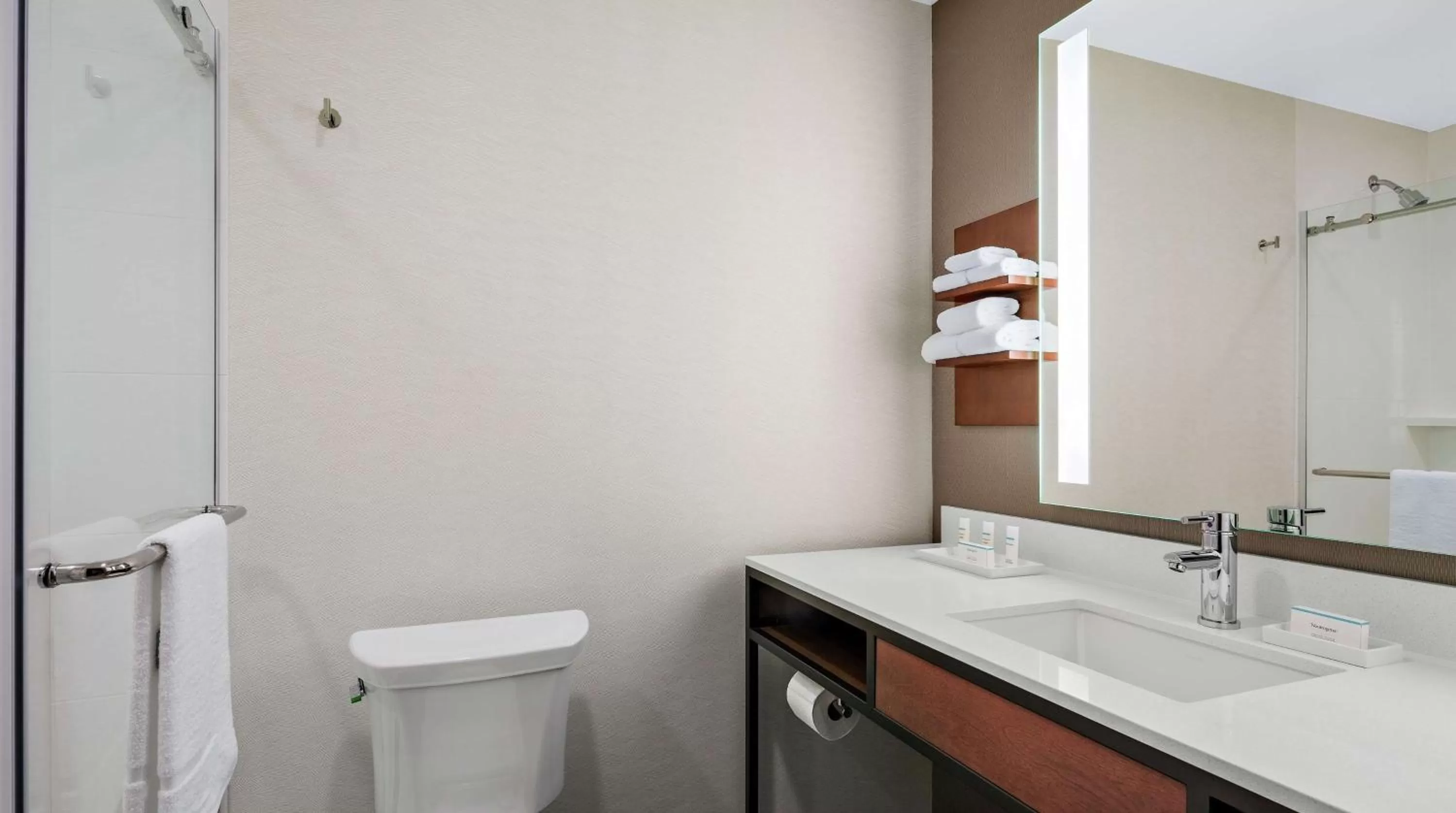 Bathroom in Hilton Garden Inn Chicago McCormick Place