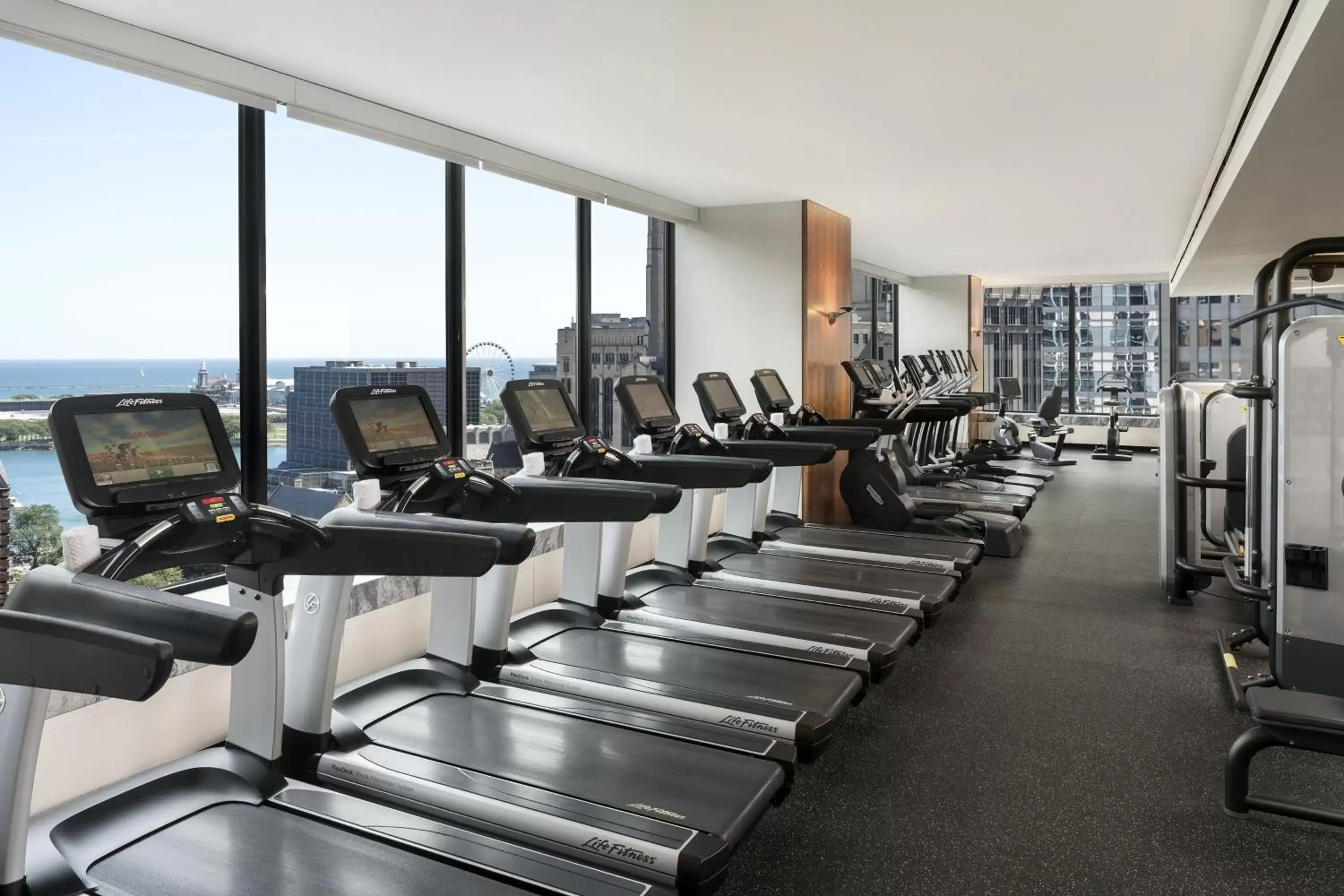 Fitness centre/facilities, Fitness Center/Facilities in The Ritz-Carlton, Chicago