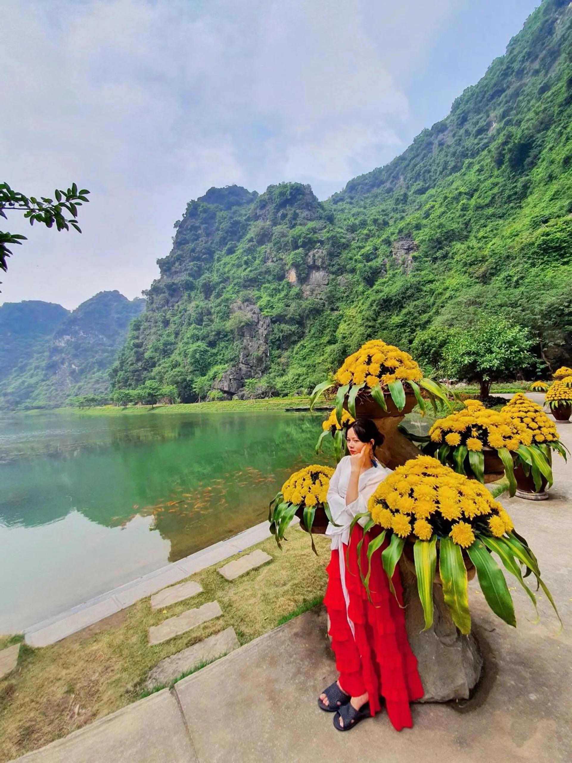 Tam Coc Mountain View Homestay