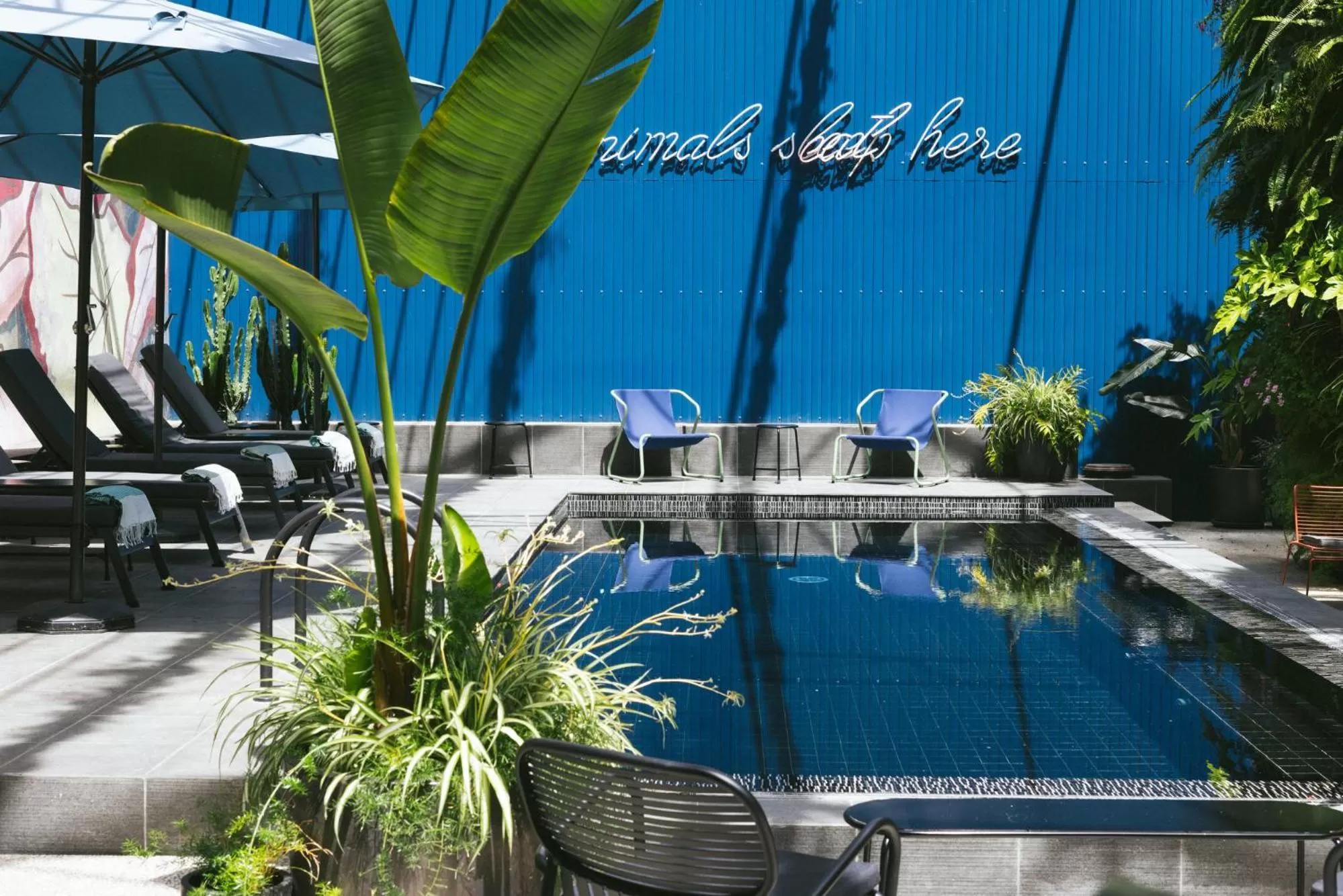 Swimming pool in Hotel Hotel - Member of Design Hotels