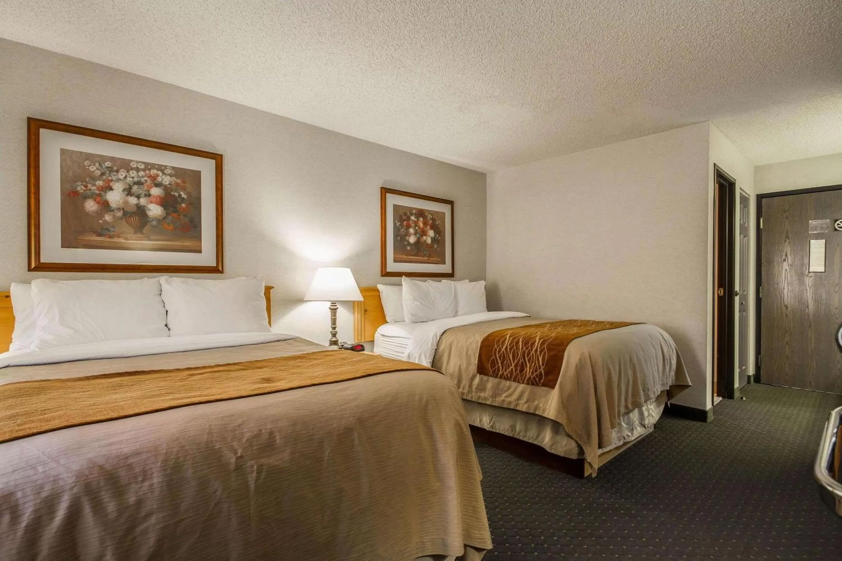 Photo of the whole room, Bed in Comfort Inn Fond Du Lac