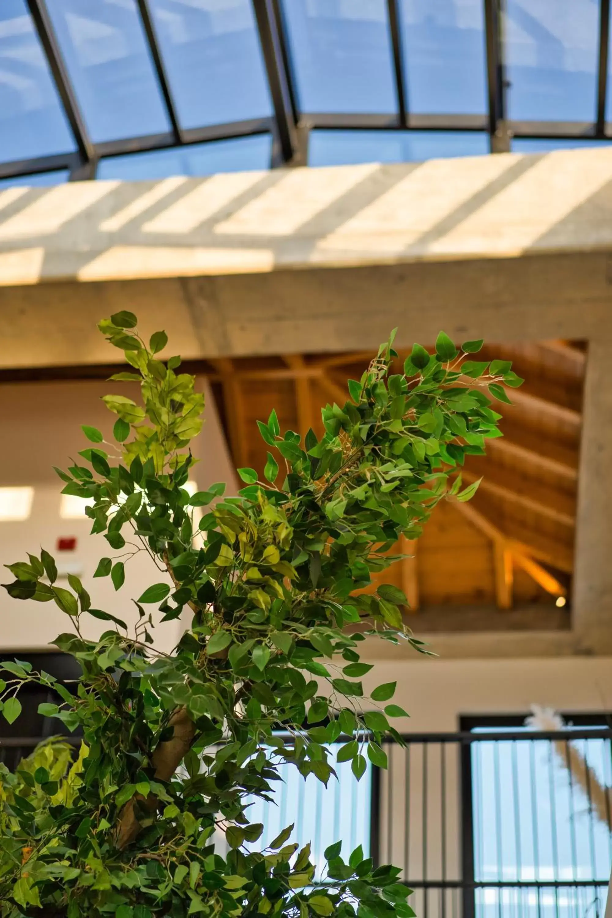 Decorative detail, Pool View in Capital Luxury Suites