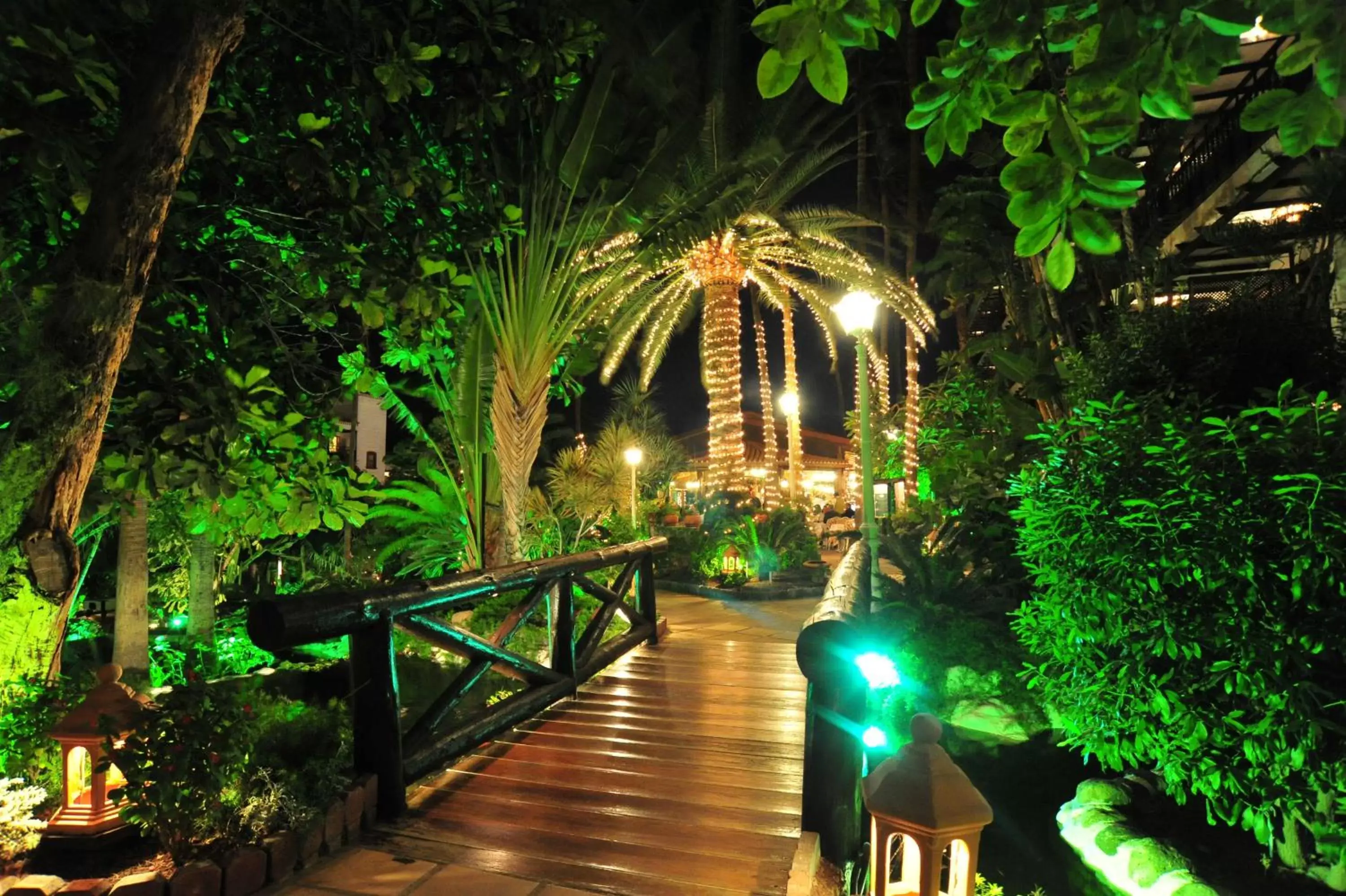 Garden in Hotel Parque Tropical