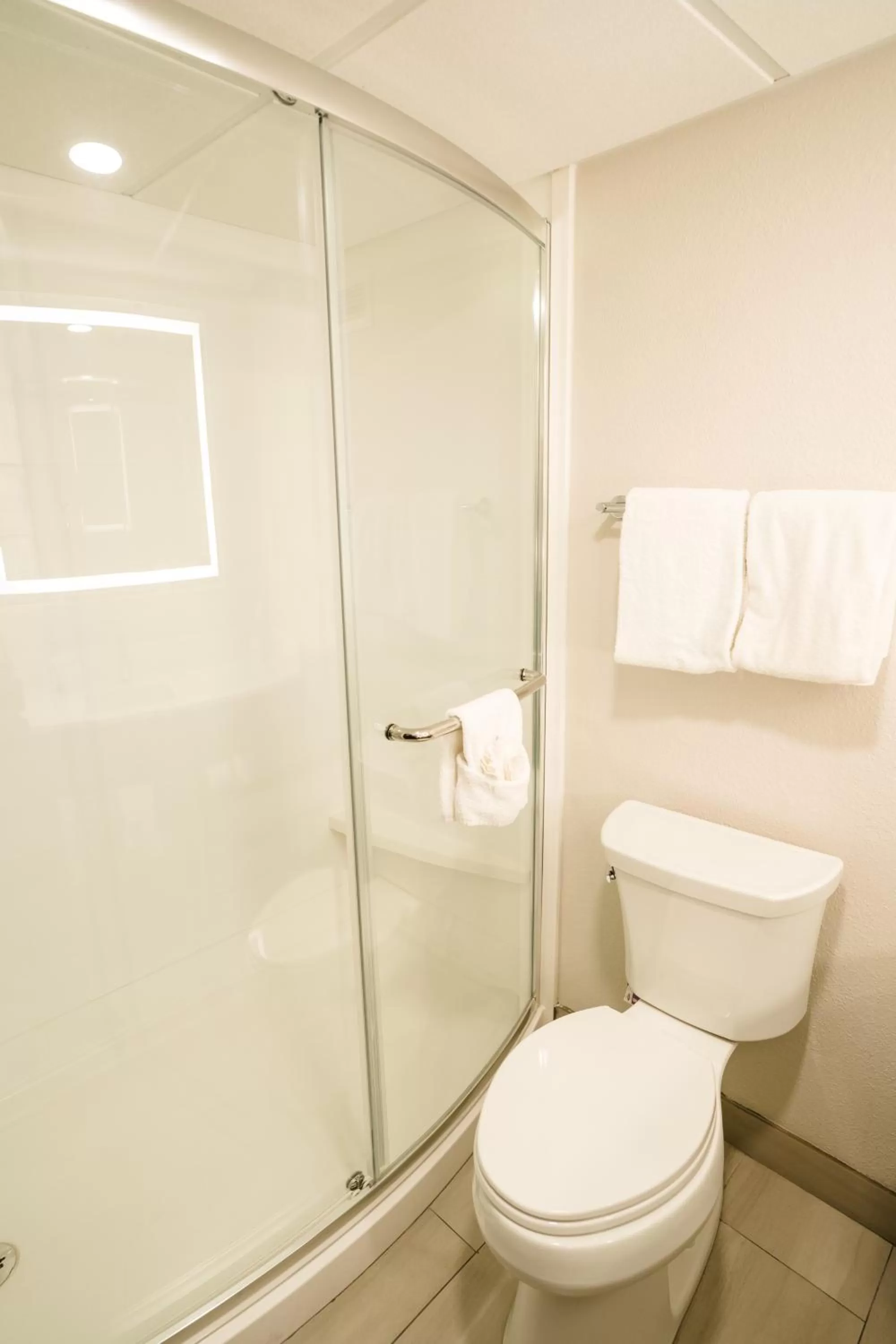 Shower in Holiday Inn Express Hotel & Suites Knoxville-North-I-75 Exit 112 by IHG