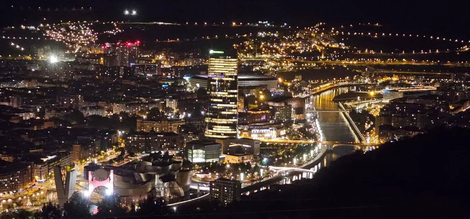 Night, Bird's-eye View in Hotel Artxanda