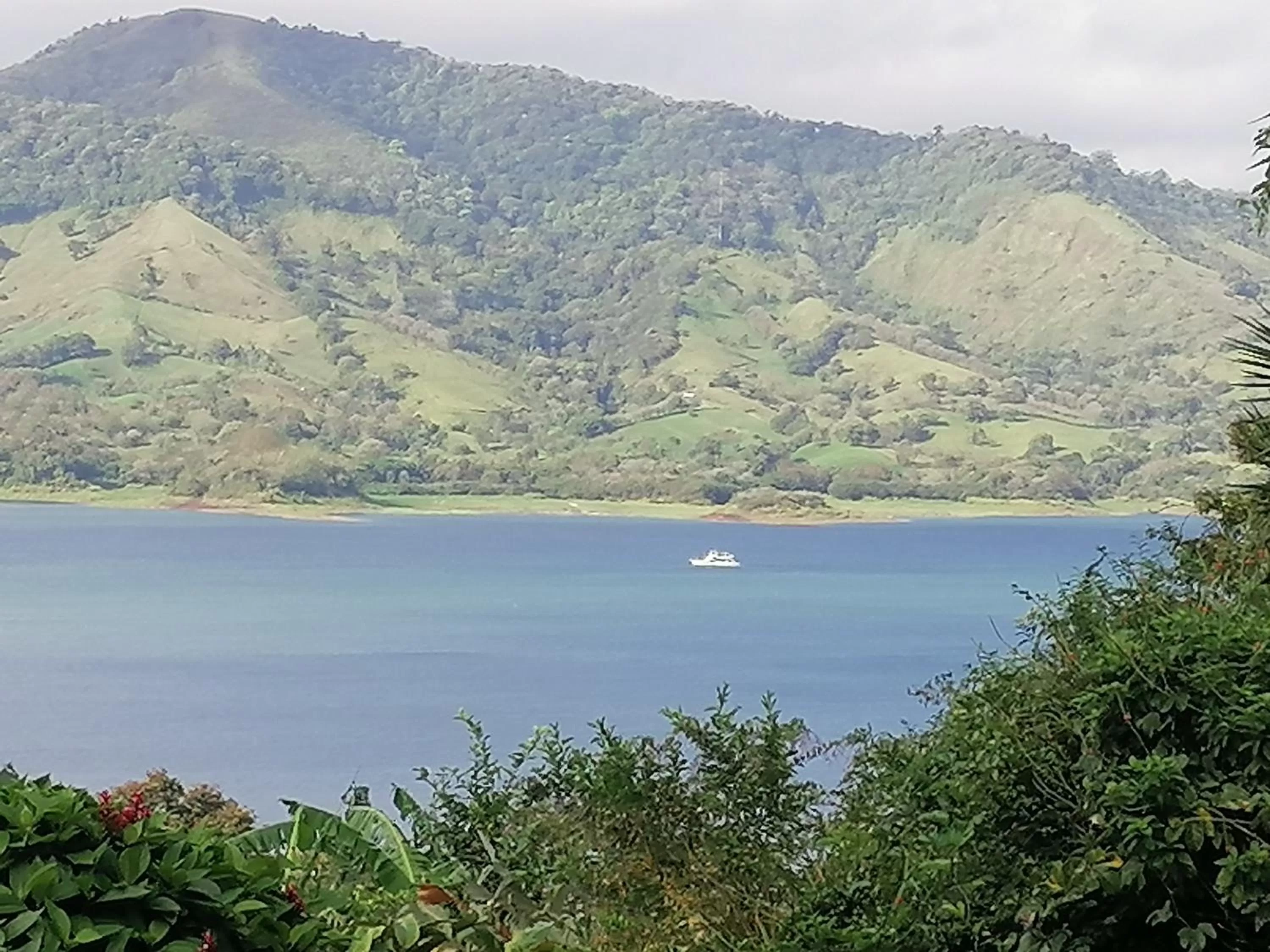 Natural landscape in La Ceiba Tree Lodge