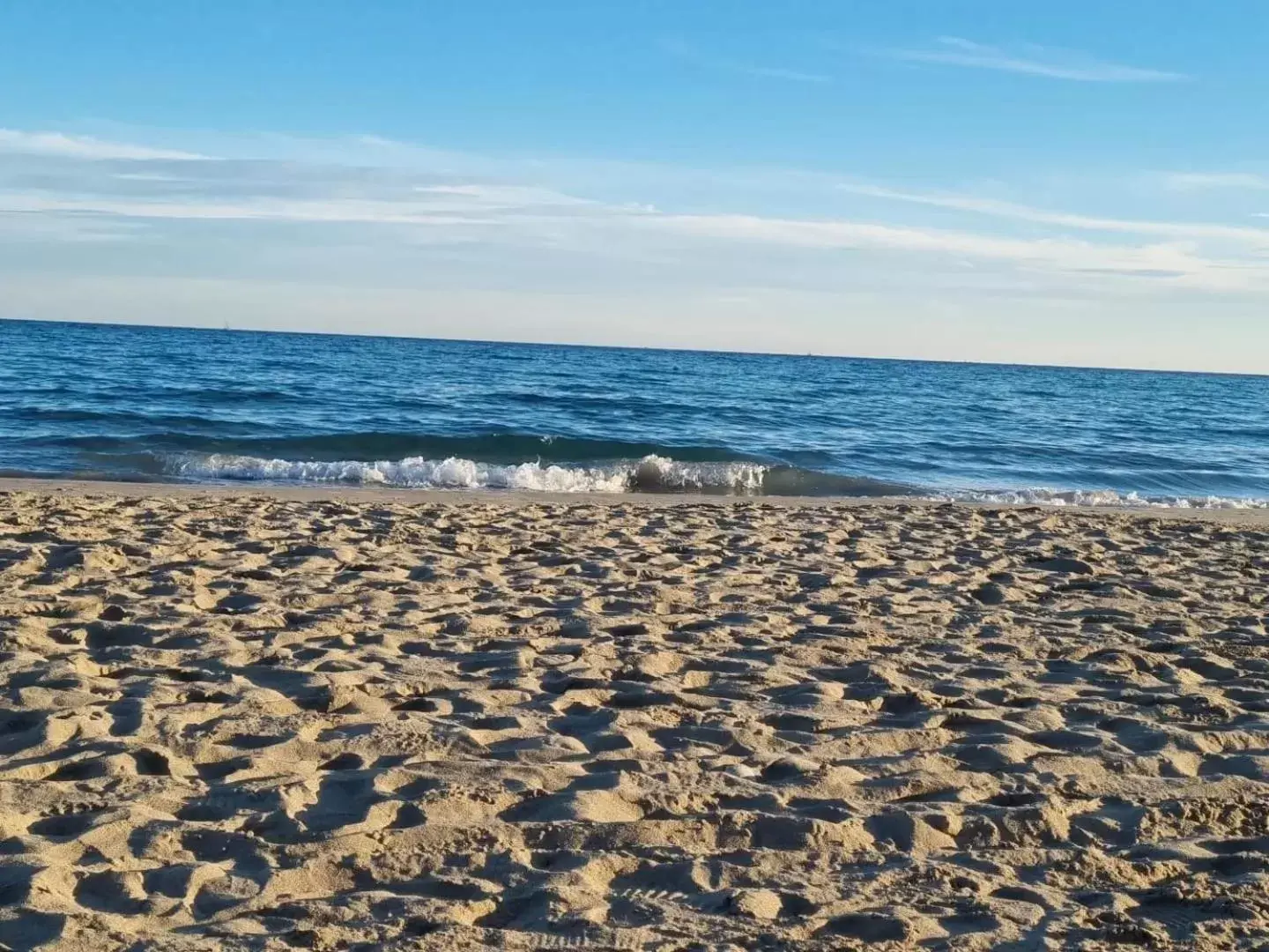 Beach in Hotel BH San Francisco Alicante