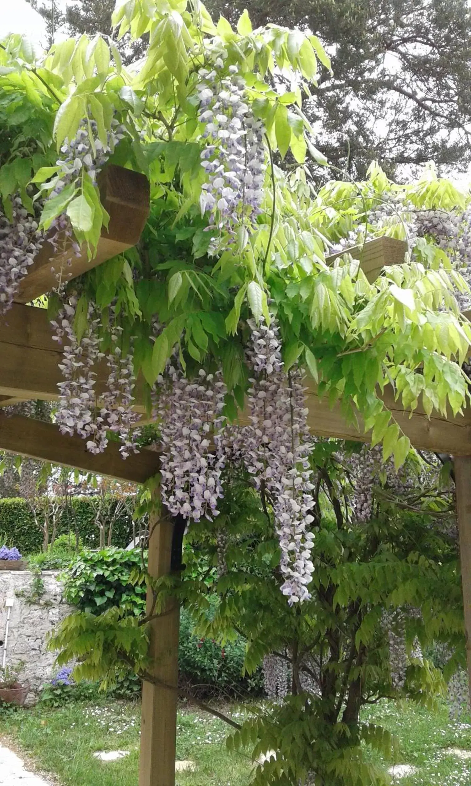 Property building, Garden in Le Colombier