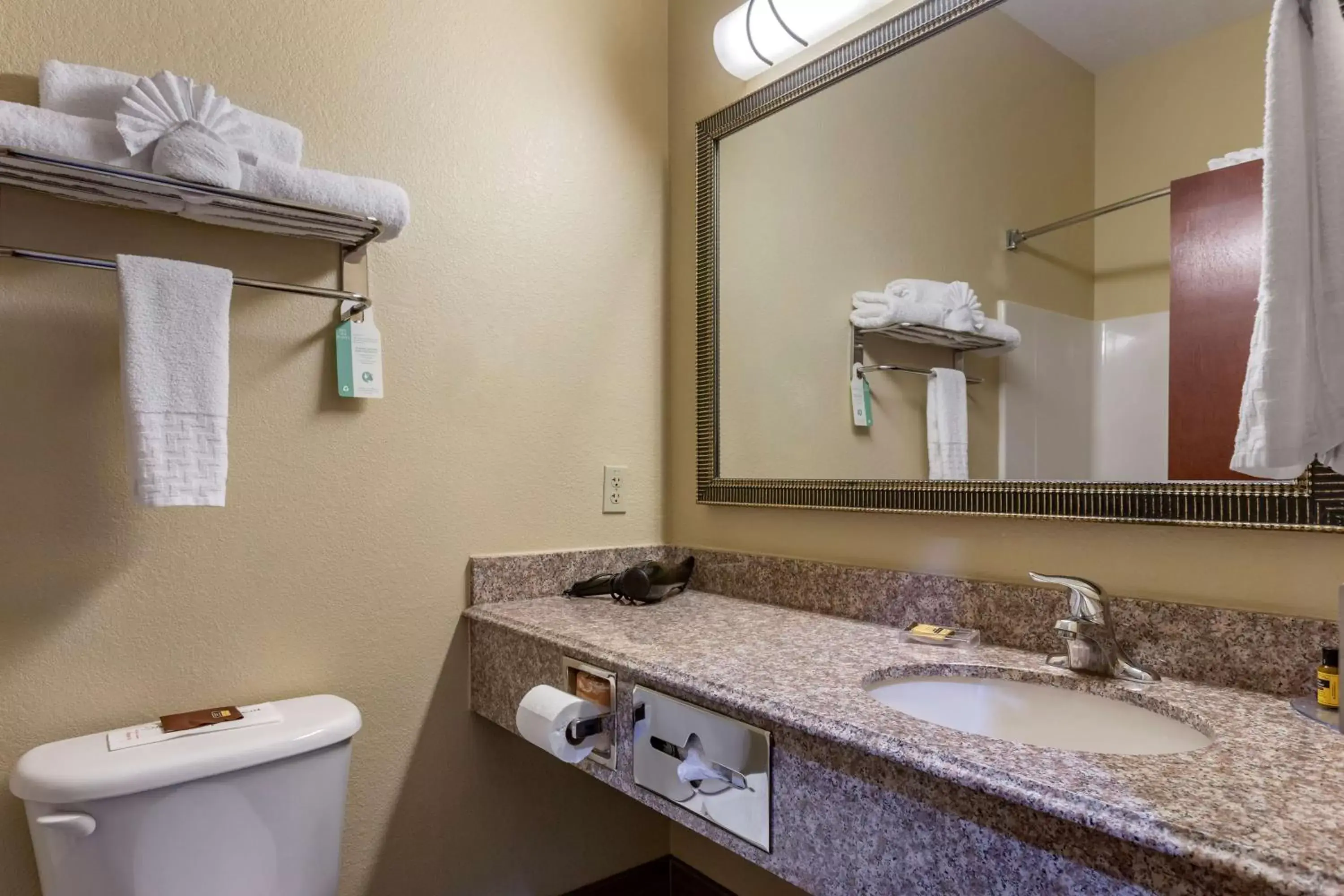 Bathroom in Best Western Plus Springfield Airport Inn