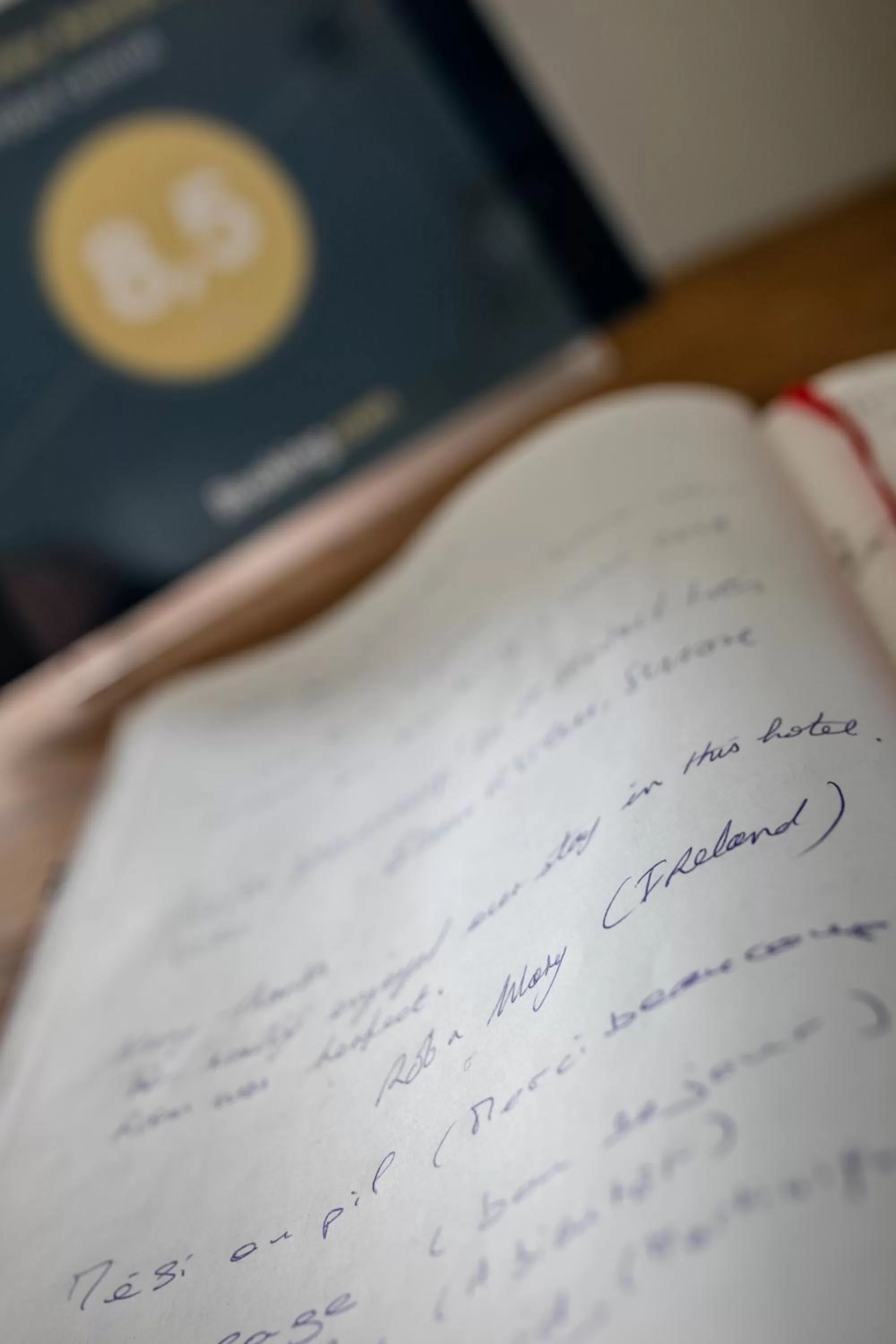 Decorative detail in Hôtel Central