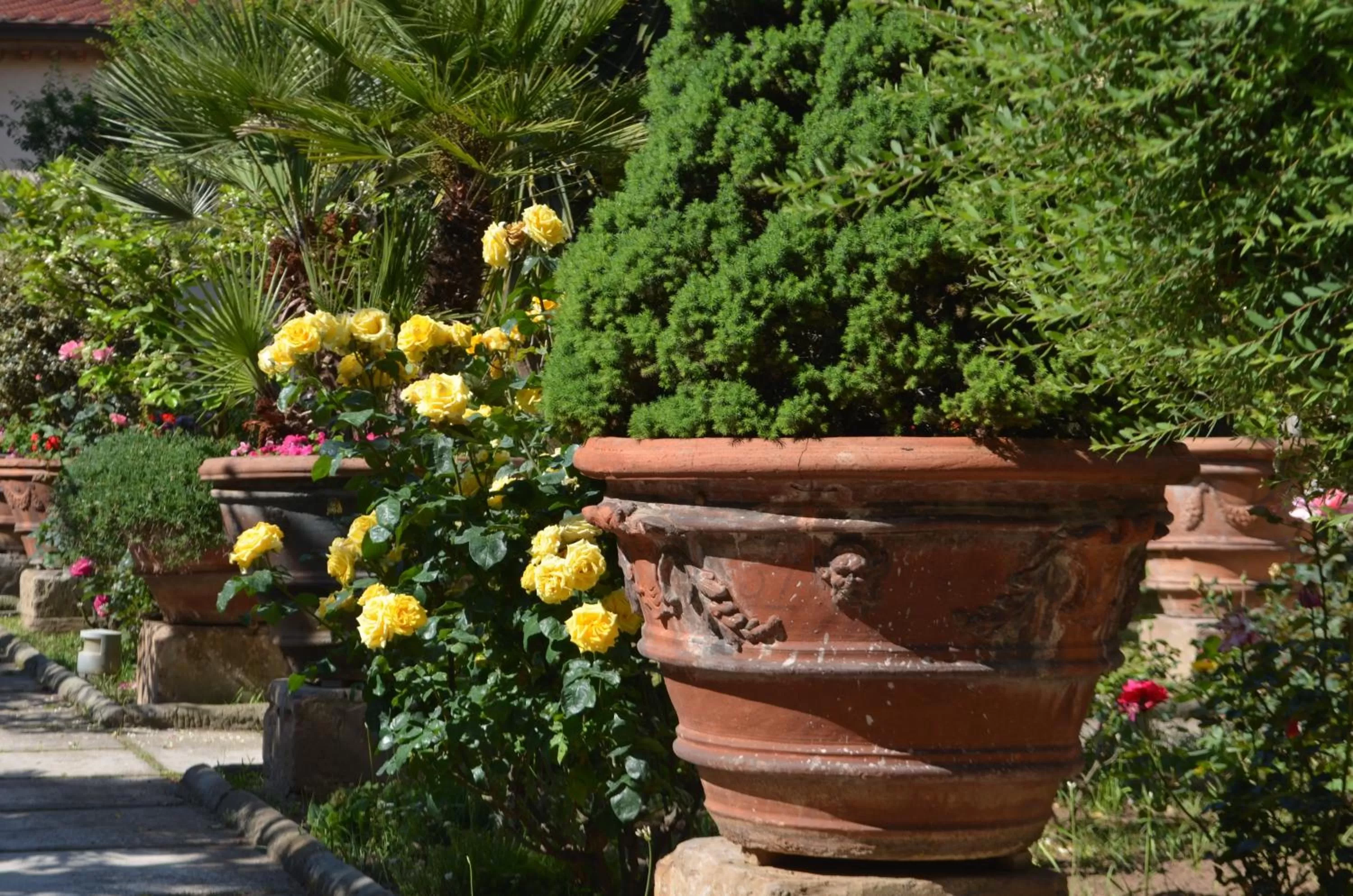 Spring in Casa per ferie religiosa Figlie di Nazareth