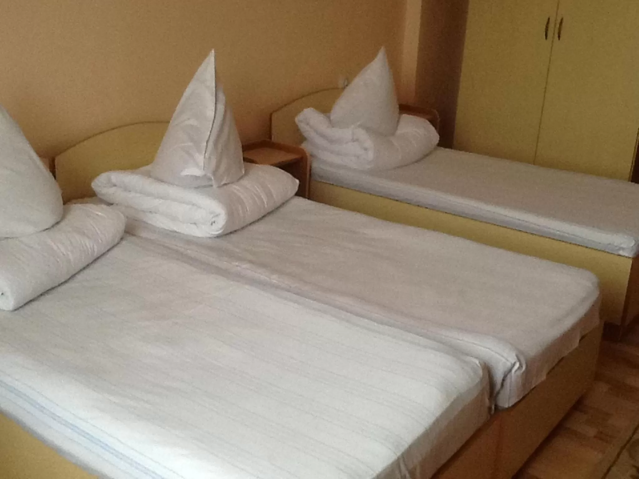 Bed in Hotel Continental City Center