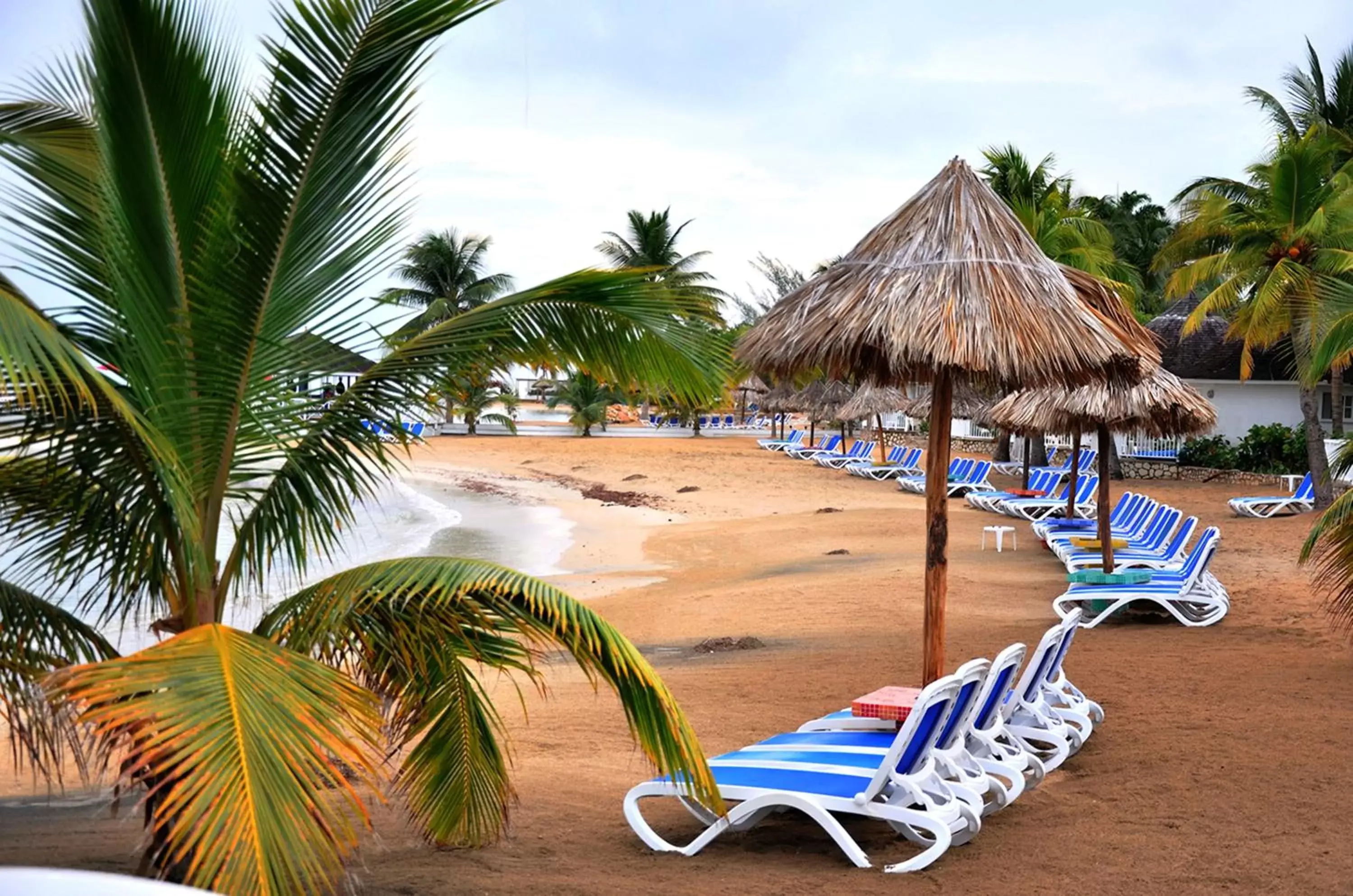 Beach in Royal Decameron Club Caribbean Resort - ALL INCLUSIVE