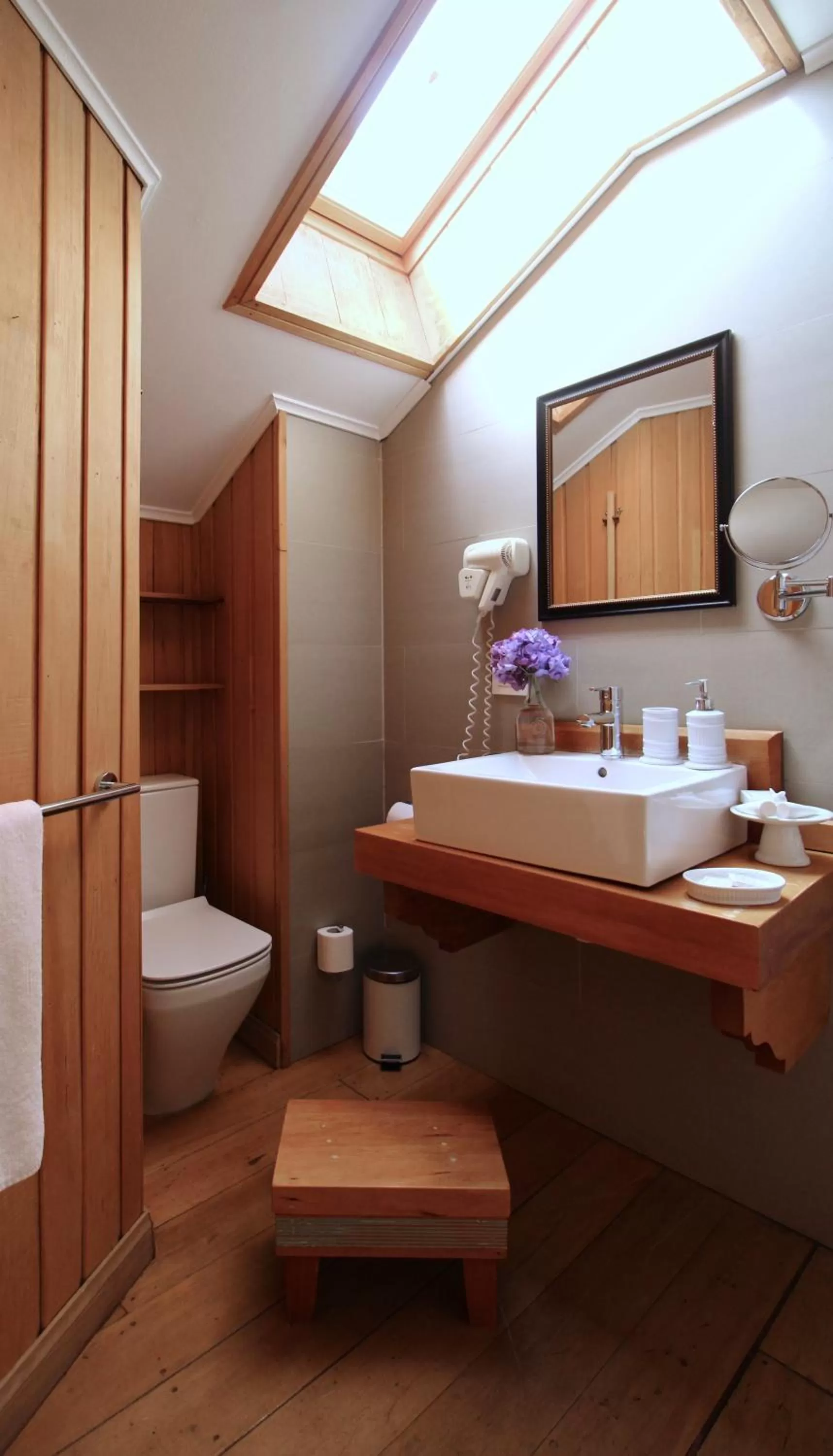 Toilet, Bathroom in Hotel Boutique Casa Werner