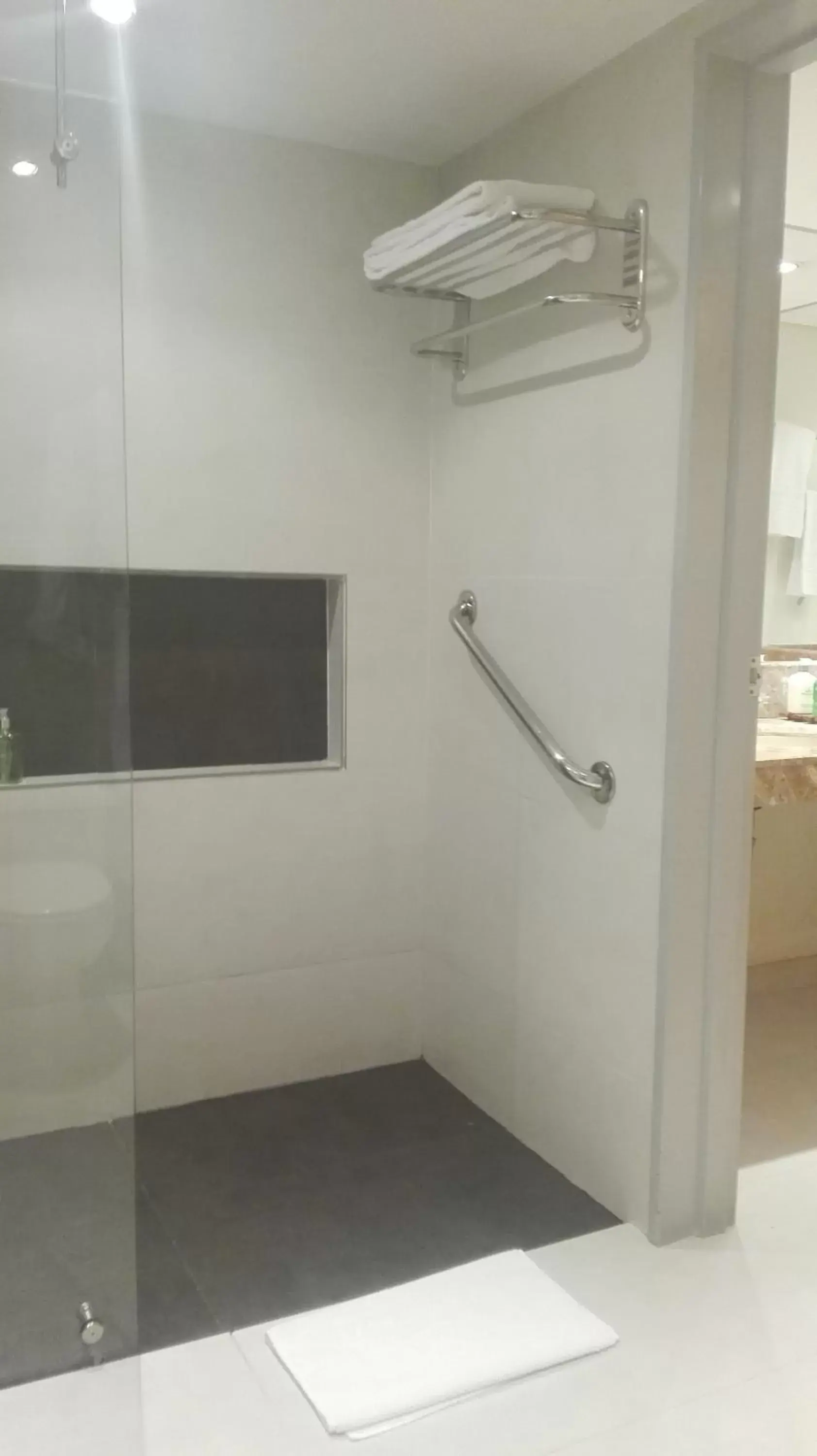 Shower, Bathroom in Bogota Plaza Hotel