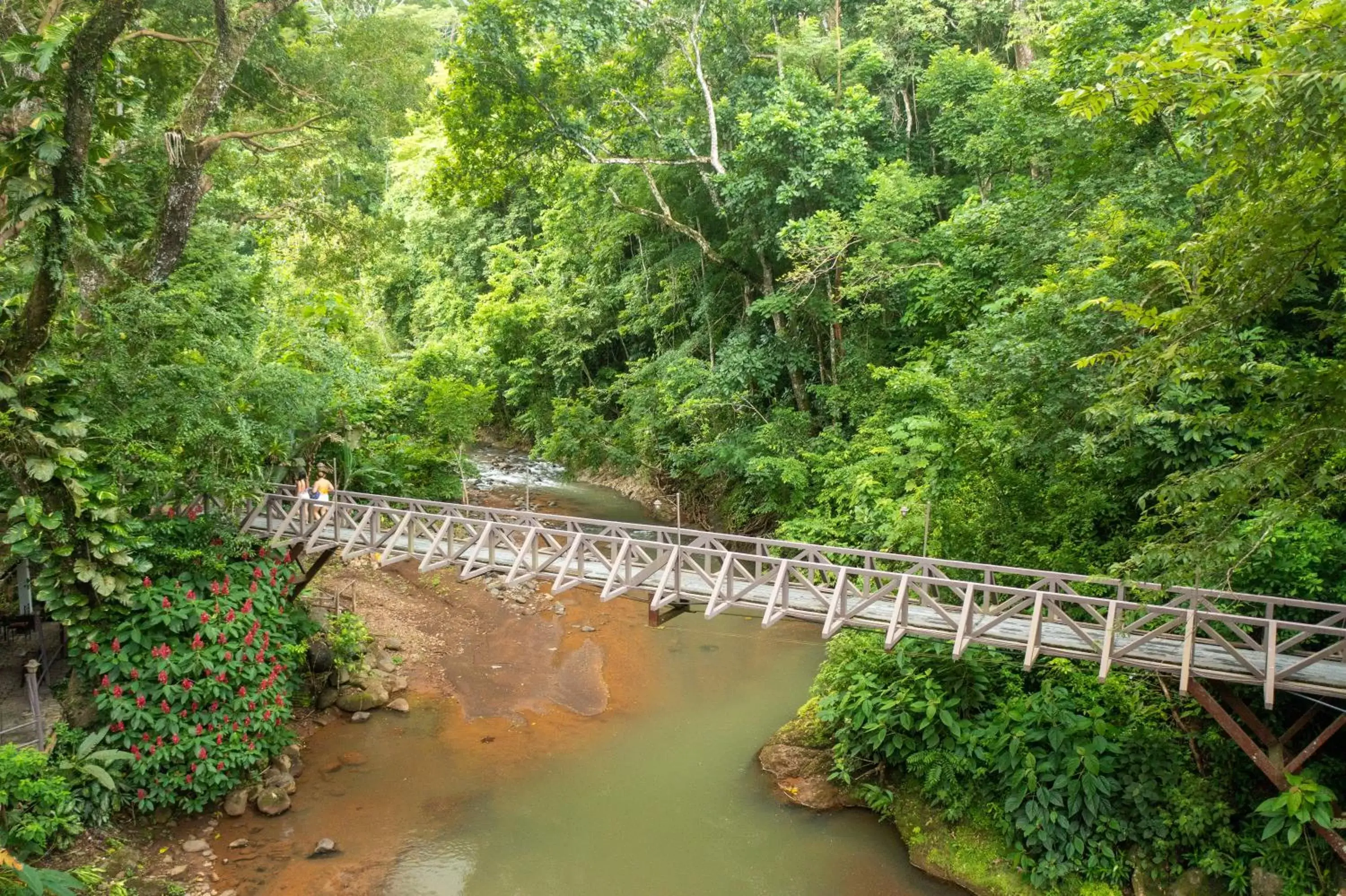 Natural landscape in Villa Lapas Jungle Village