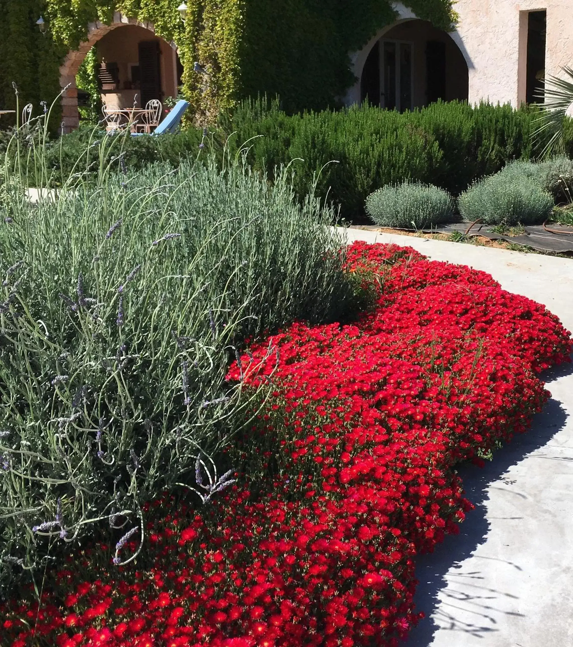 Garden in VILLA MERCEDES B&b