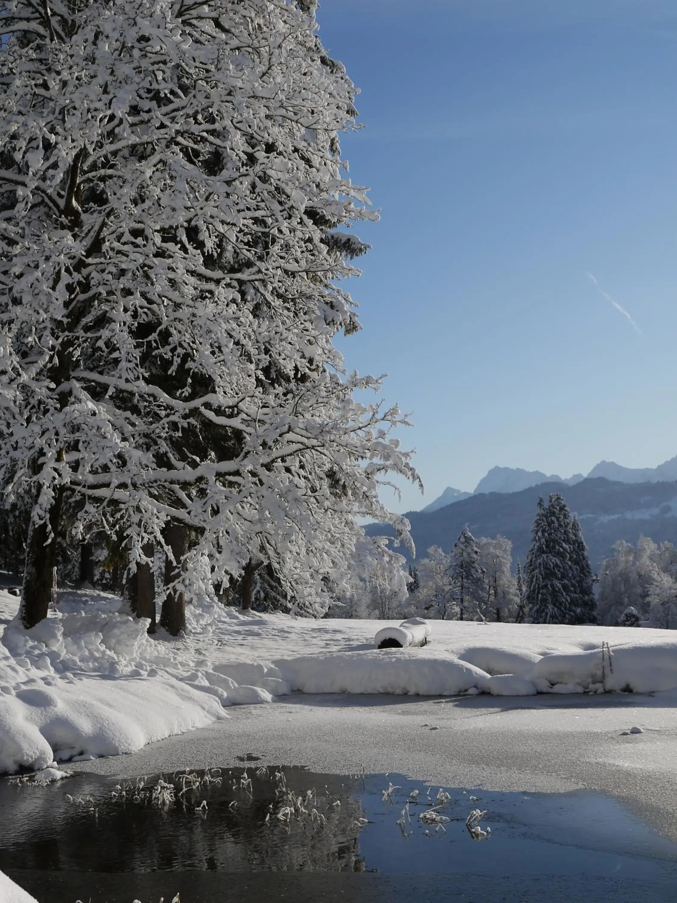 Natural landscape, Winter in Hotel Königshof