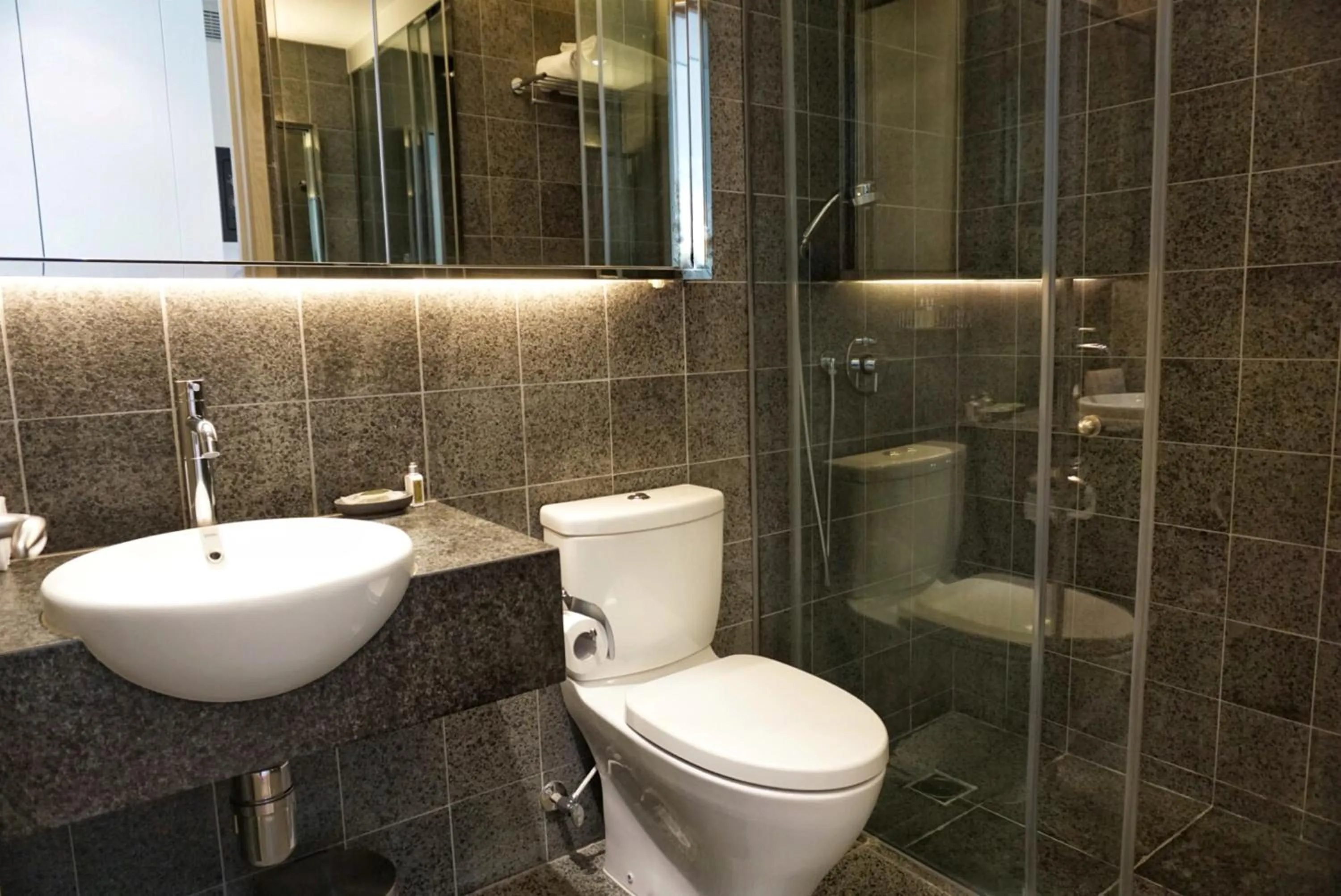 Toilet in Twenty One Whitfield