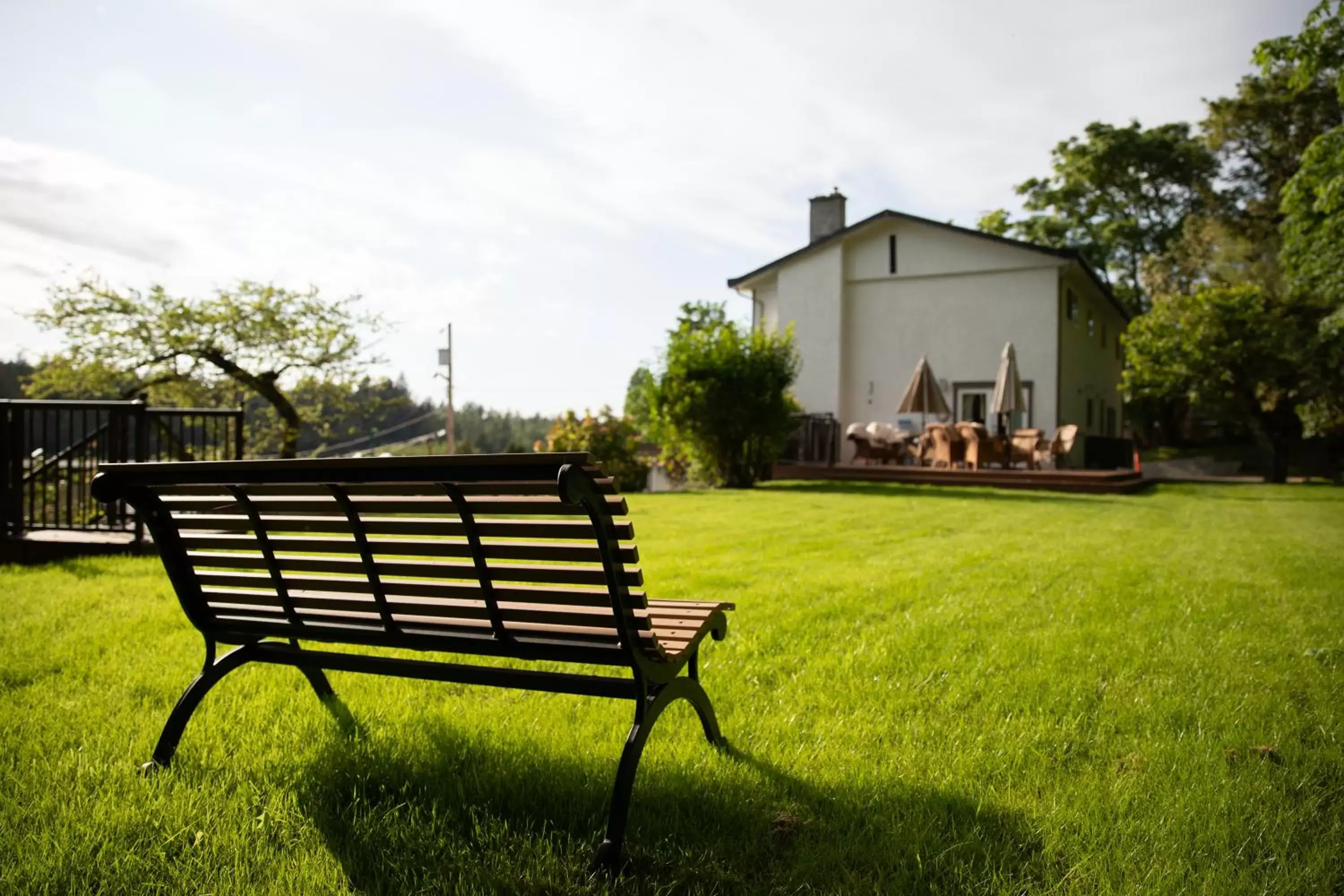 Garden in Cherry Tree Inn