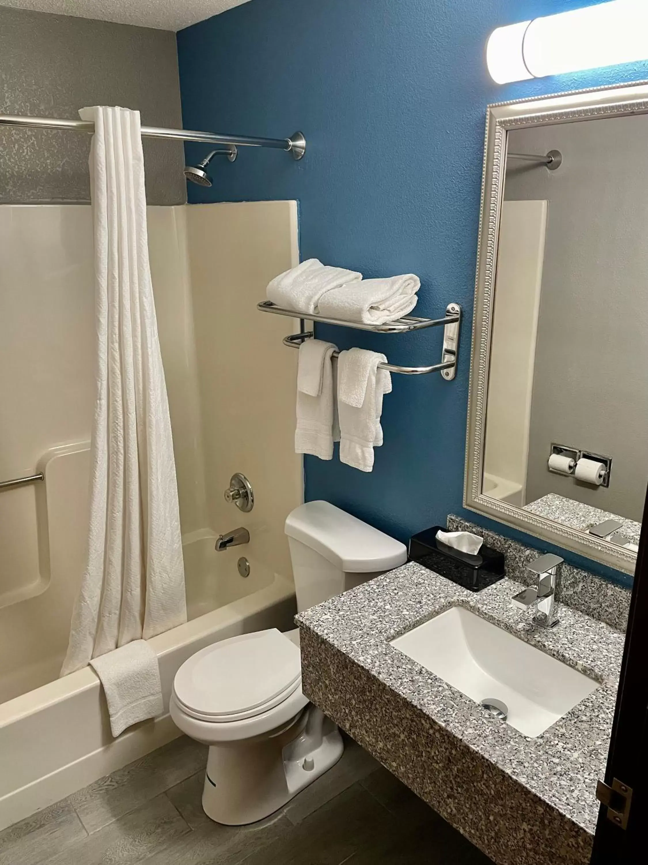 Shower, Bathroom in American Inn Cedar Rapids South