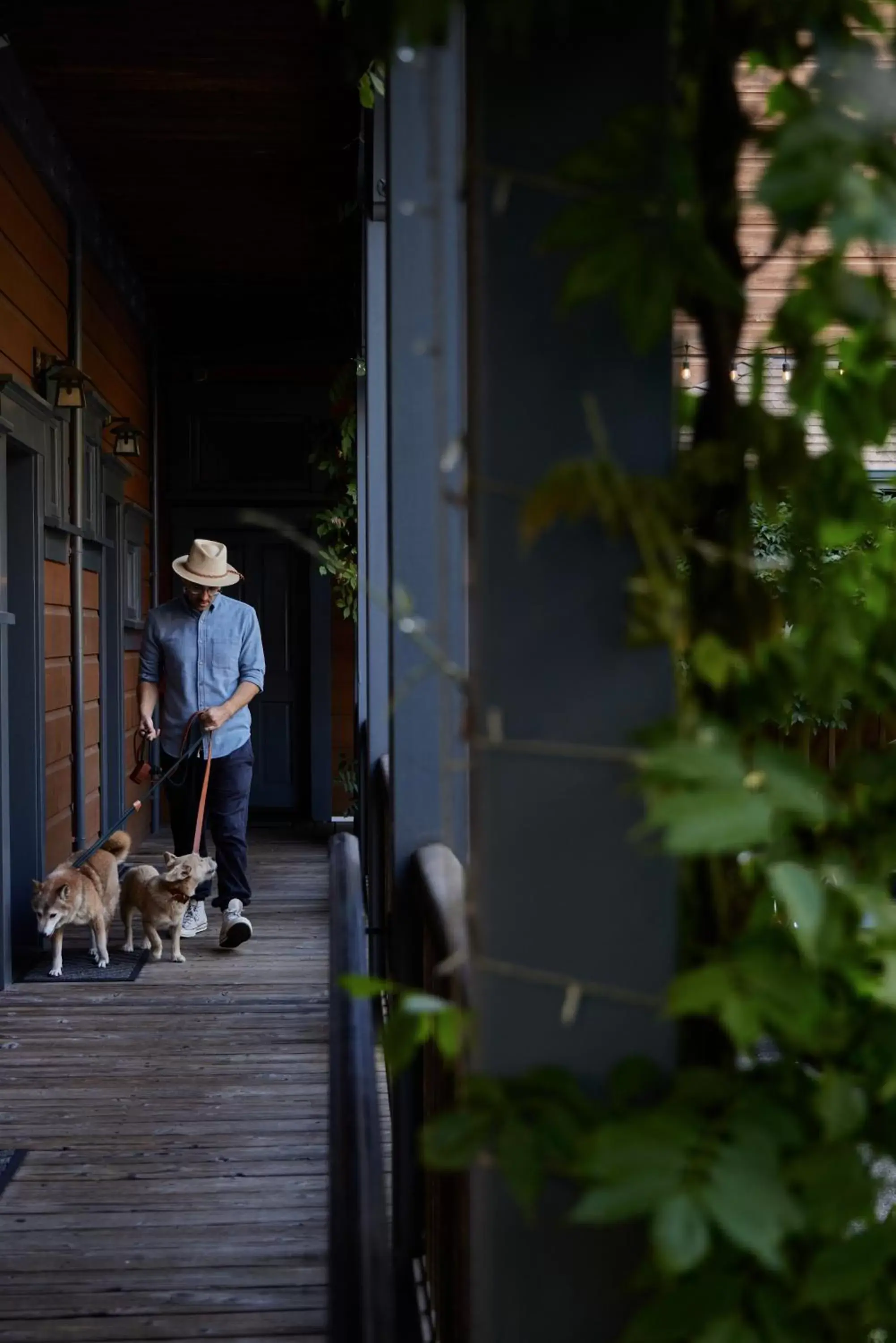 Pets in Olema House at Point Reyes