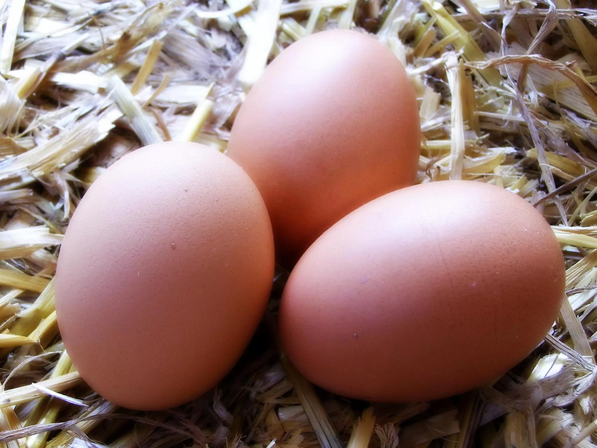 Food in Coddy's Farm