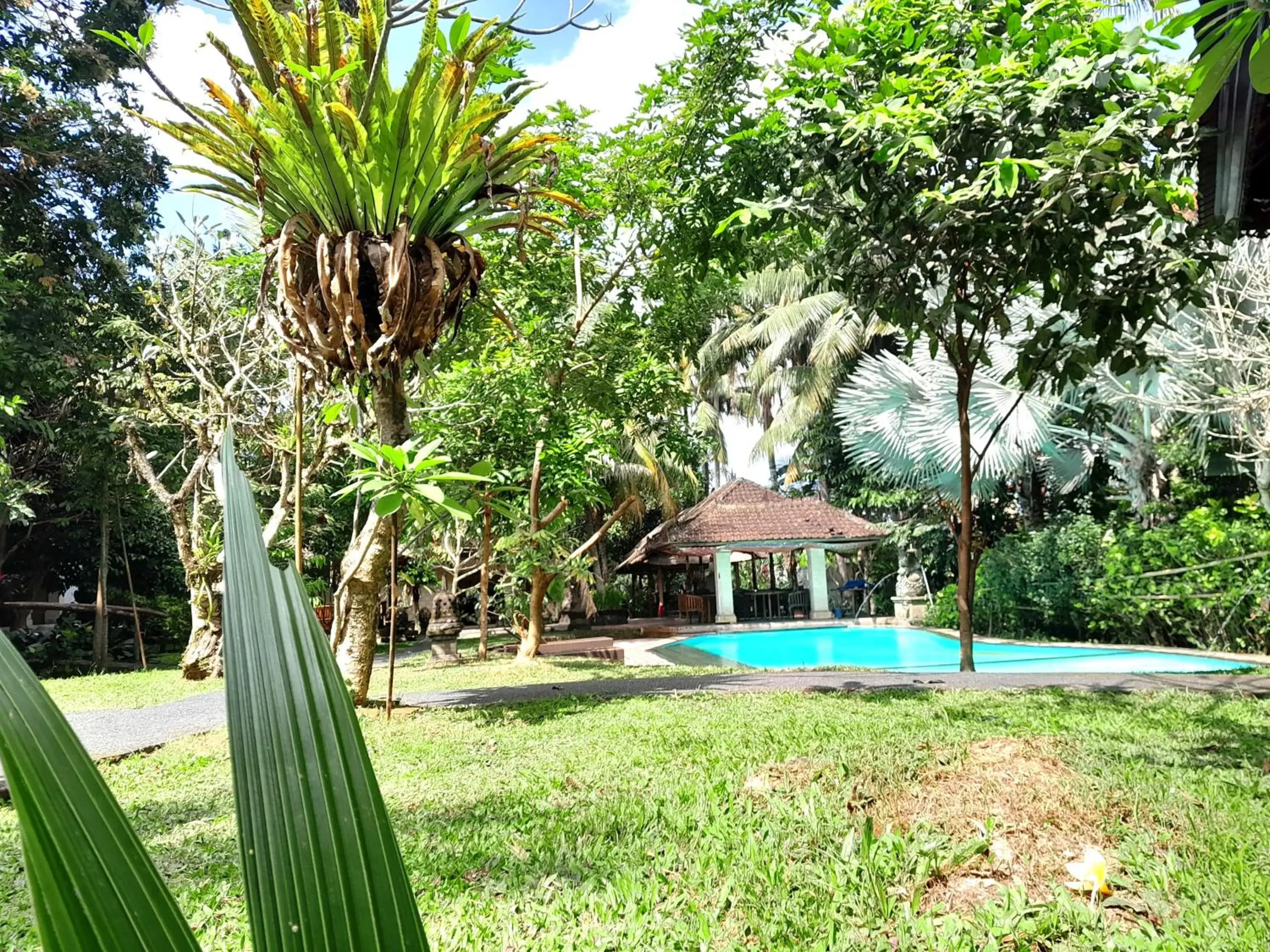 Property building, Swimming Pool in Panorama Hotel