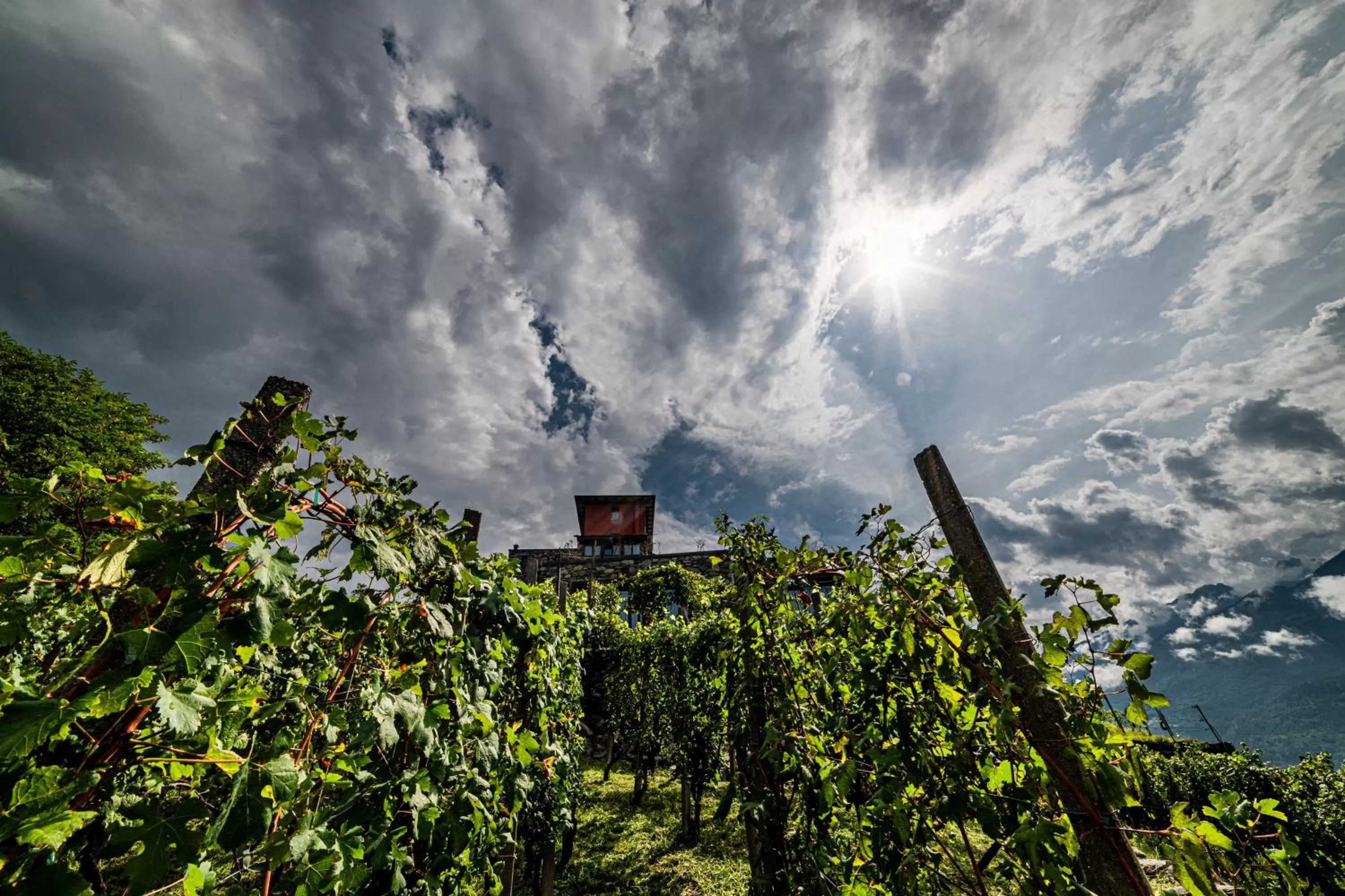 Property building in Cà Rossa #panoramic suite