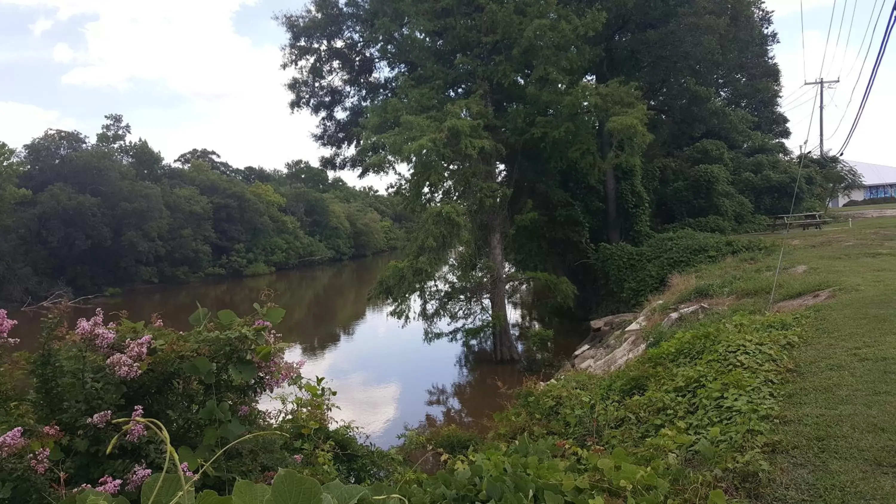 Natural landscape in Red Carpet Inn Kinston Natural landscape in Red Carpet Inn Kinston