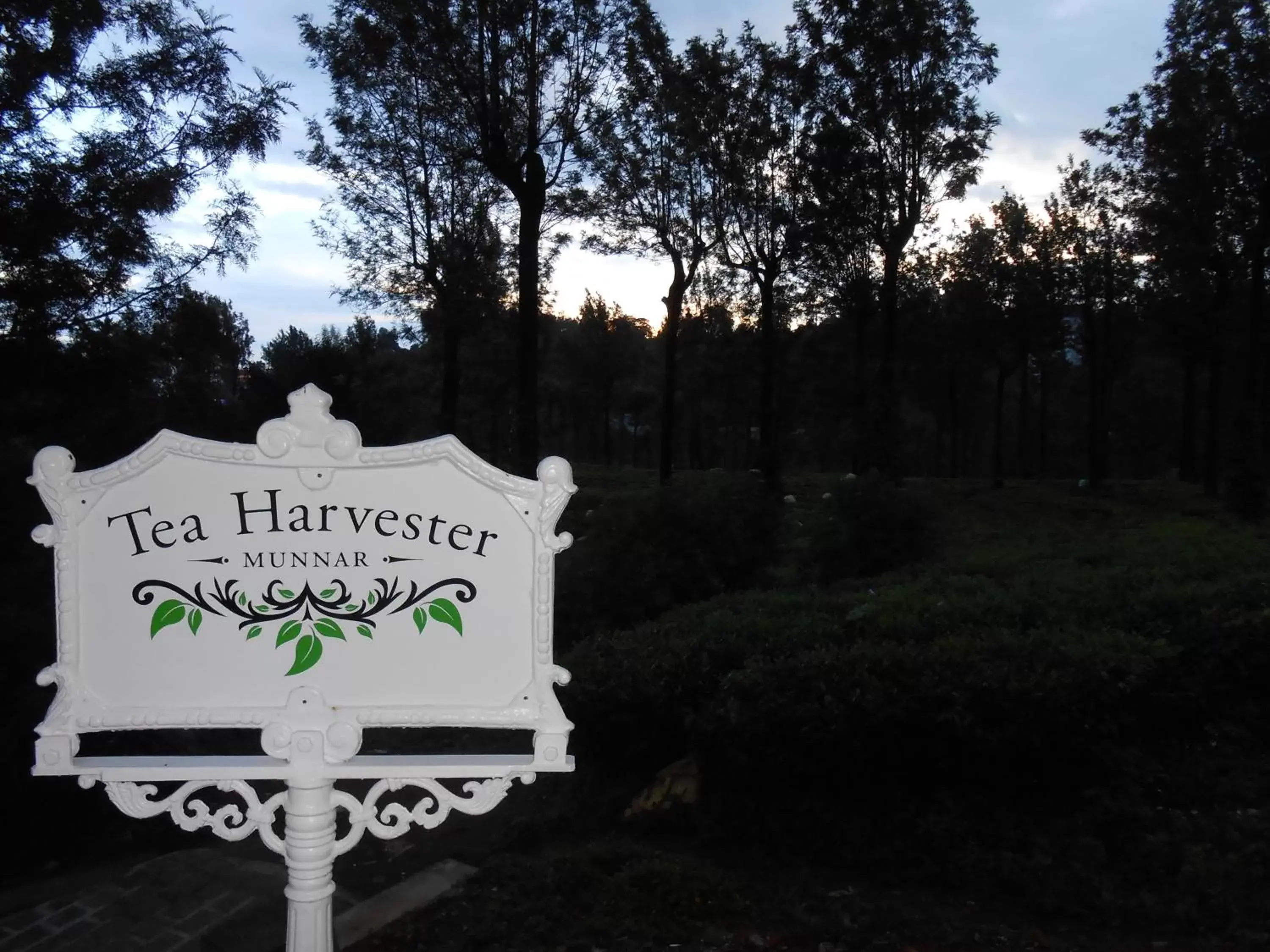 Property logo or sign, Property Building in Tea Harvester