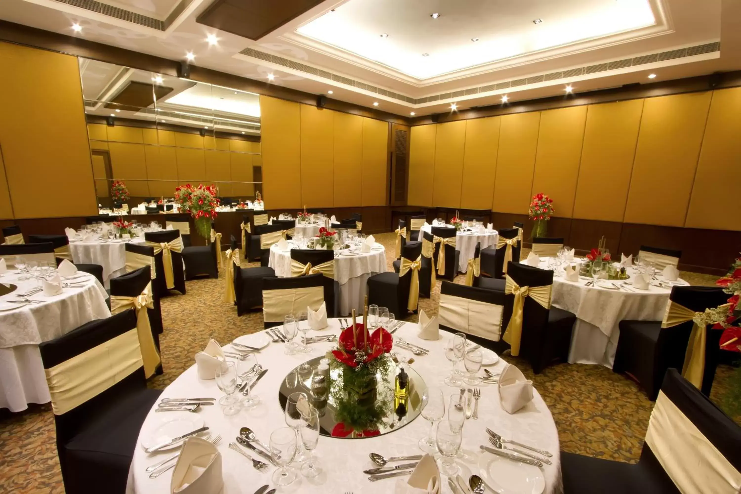 Banquet/Function facilities, Restaurant/Places to Eat in Hotel Express Residency Vadodara
