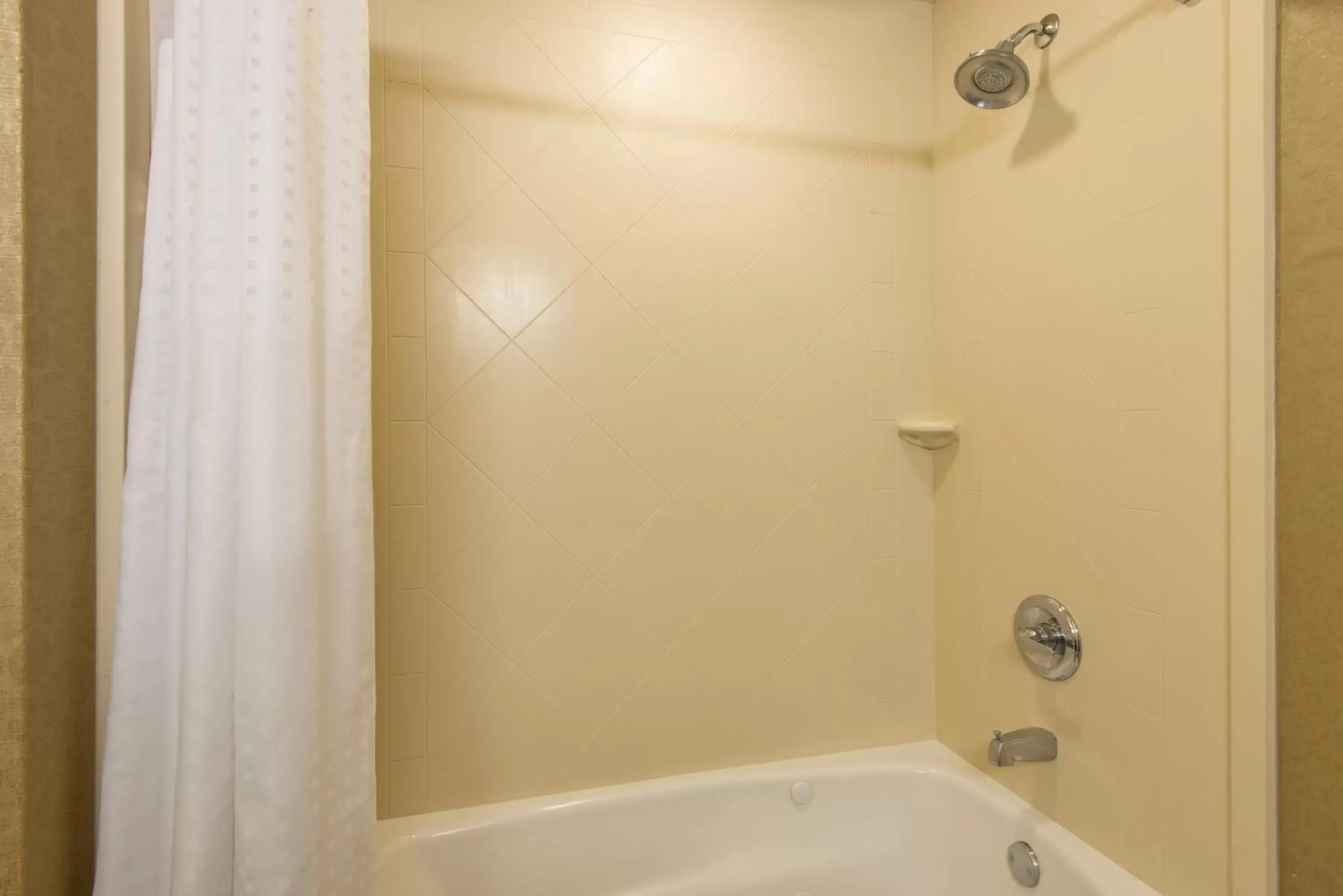 Bathroom in Holiday Inn Express & Suites Clovis, an IHG Hotel