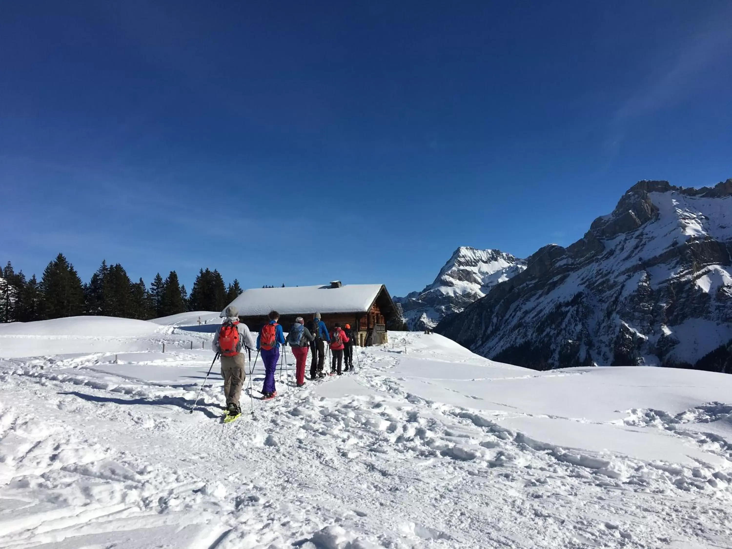 Skiing in ERMITAGE Wellness- & Spa-Hotel