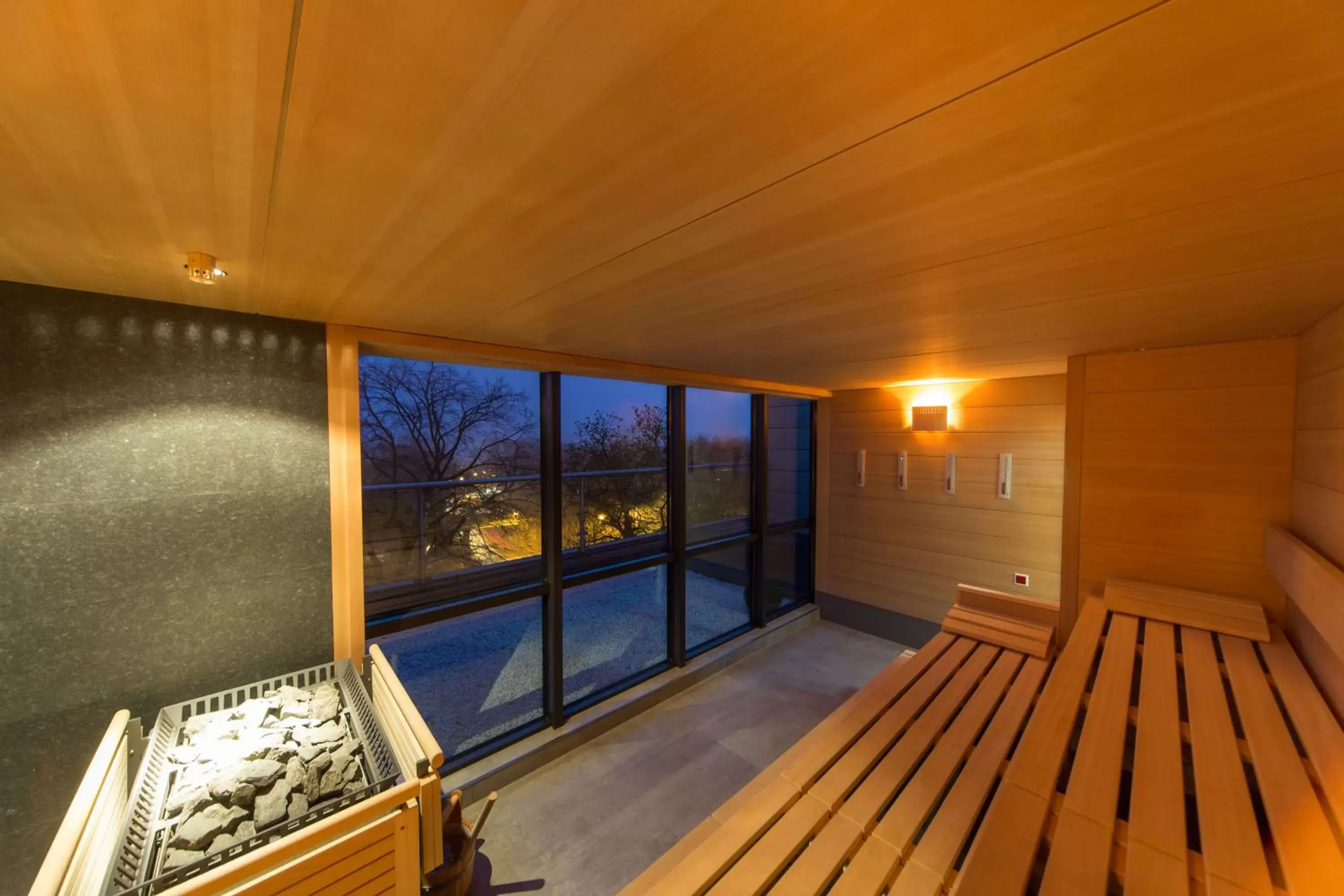 Sauna, Swimming Pool in Hotel Central