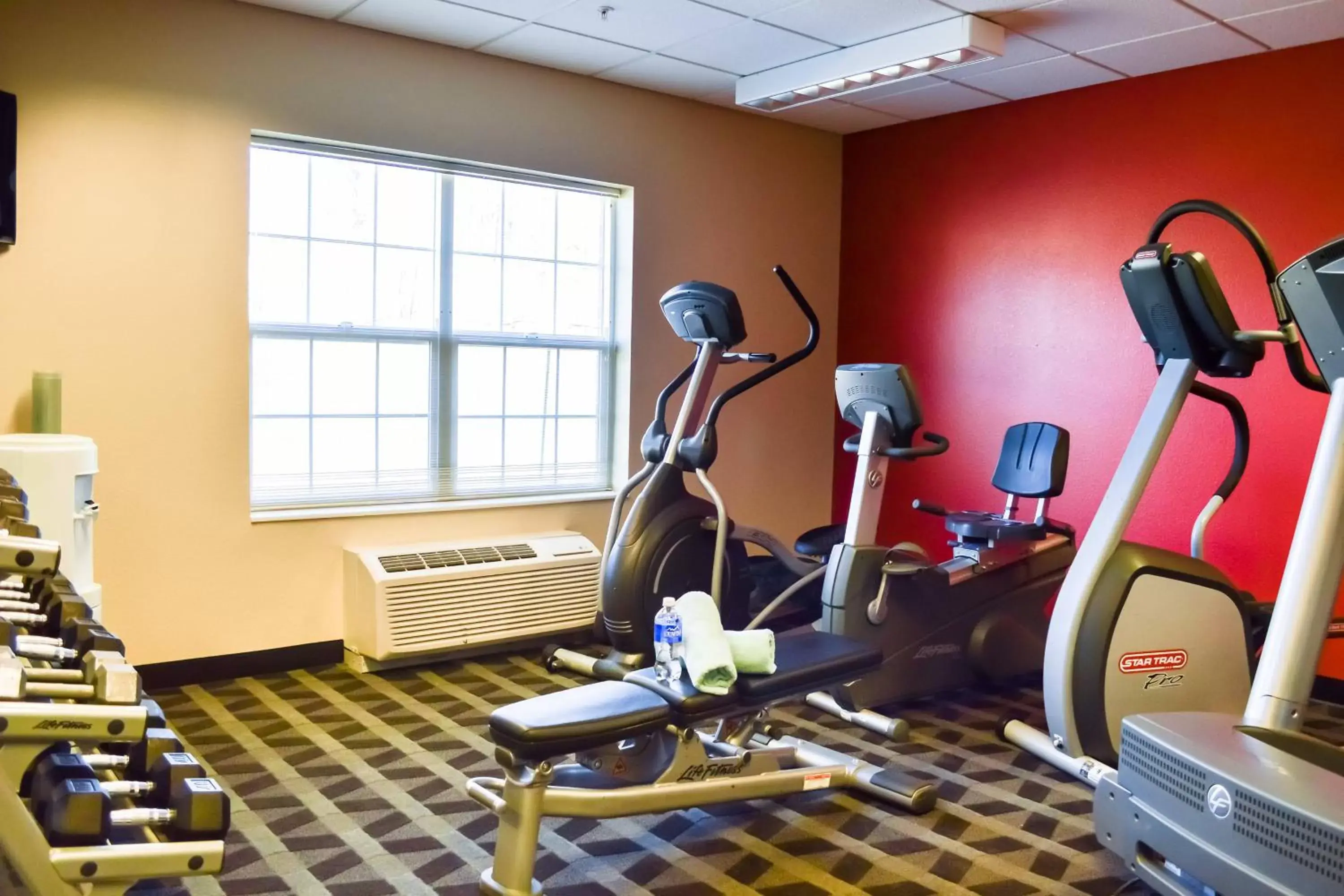 Fitness centre/facilities, Fitness Center/Facilities in TownePlace Suites Stafford