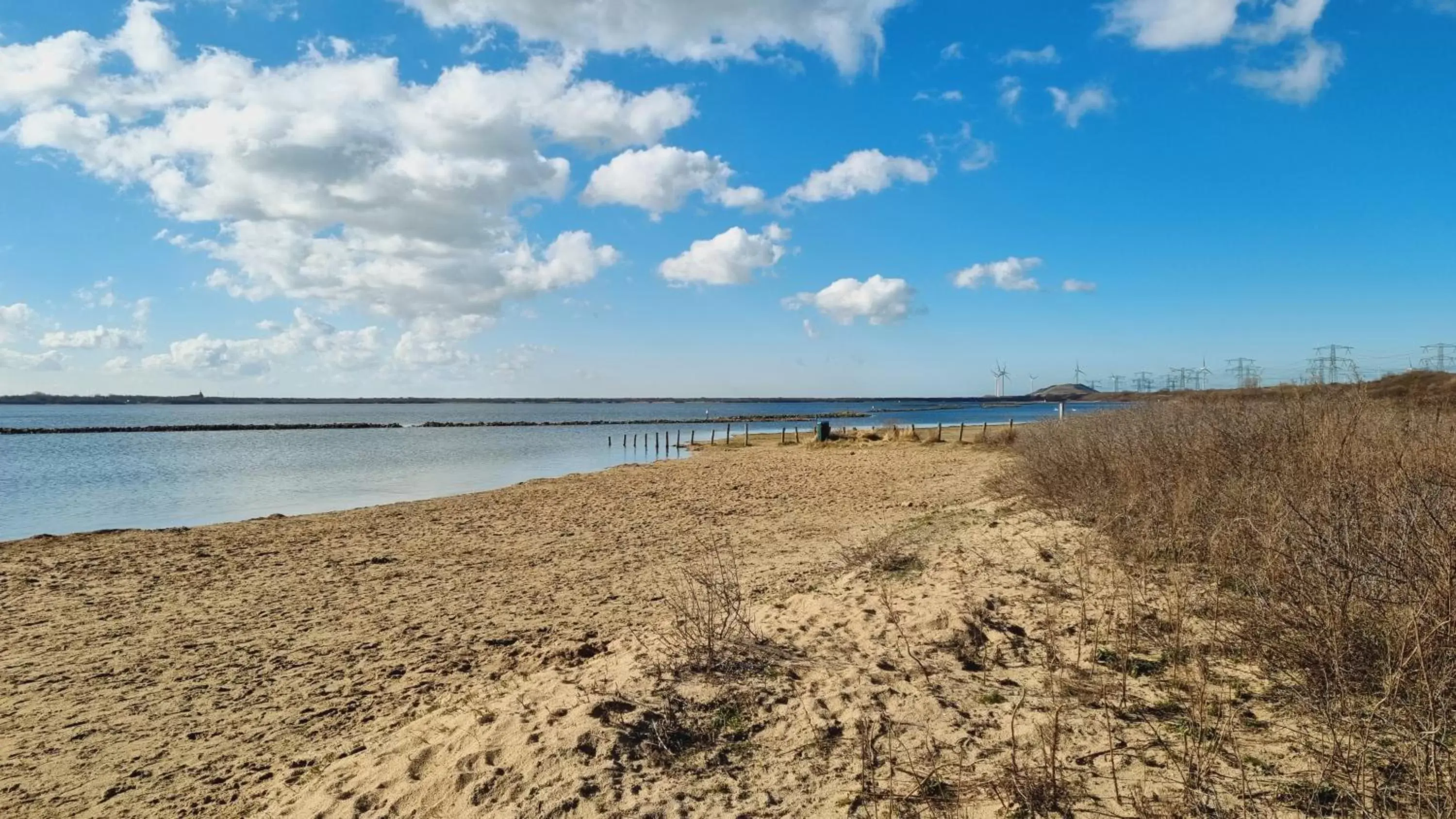 Beach in Beach Hotel Oostvoorne