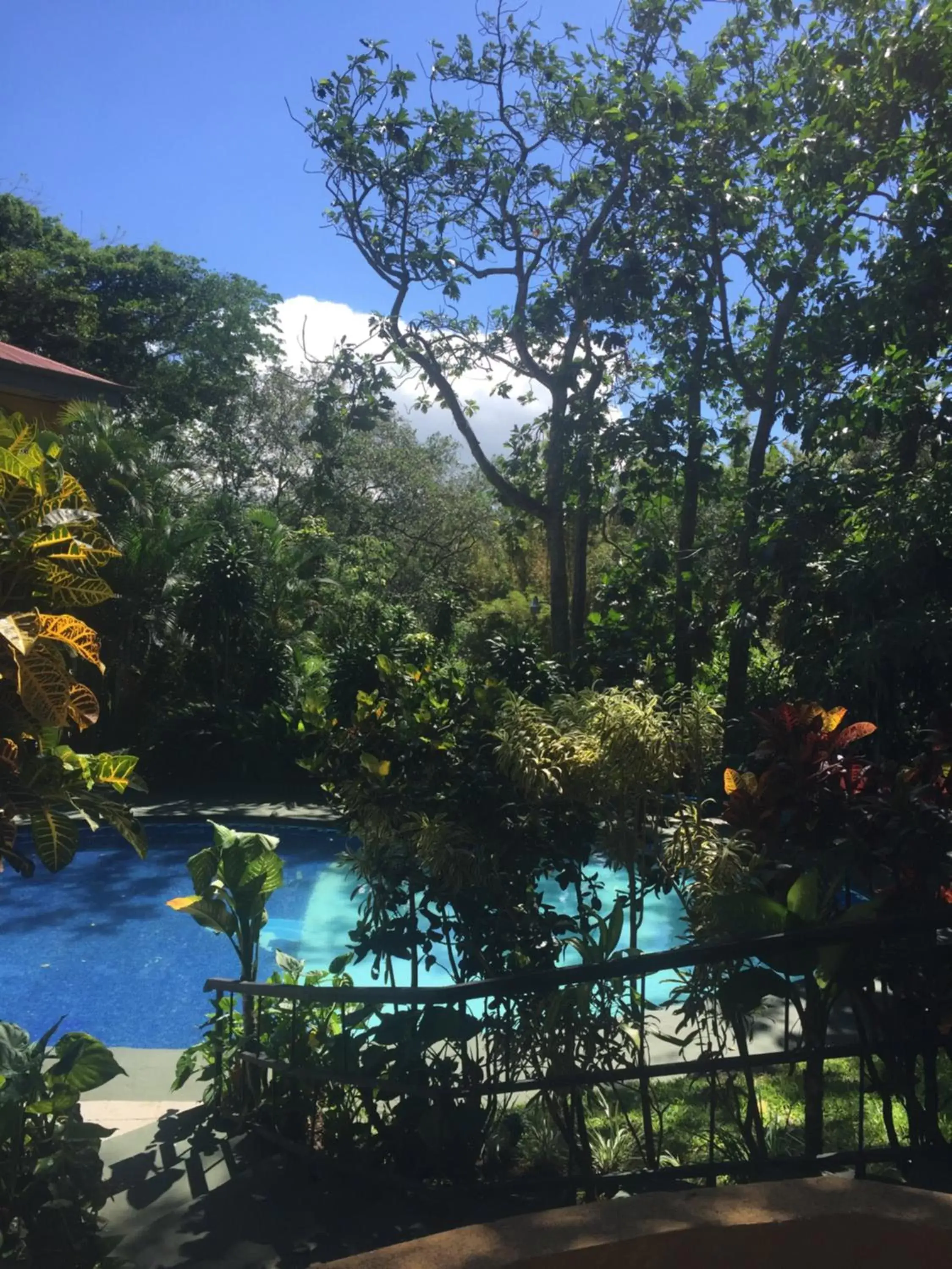 Natural landscape, Pool View in Trapp Family Country Inn