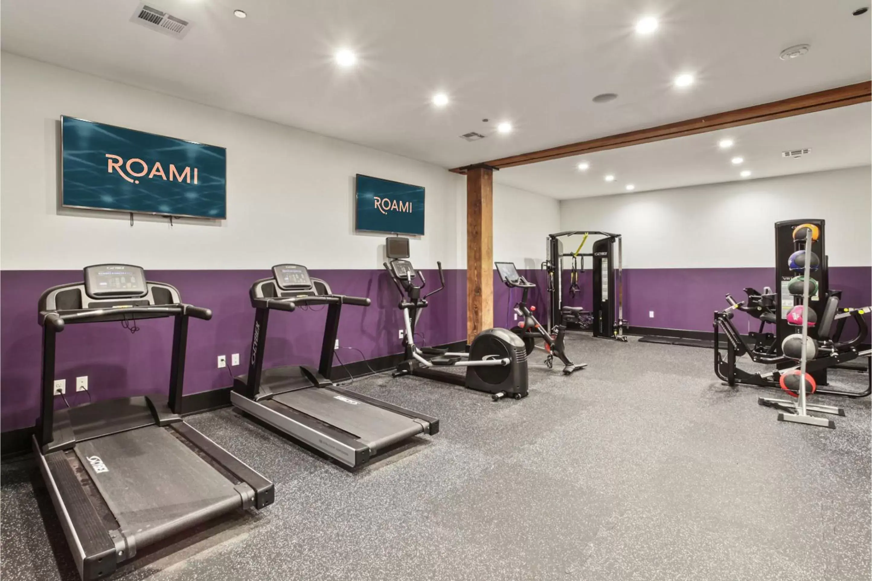 Fitness centre/facilities, Fitness Center/Facilities in Roami at The Brandywine